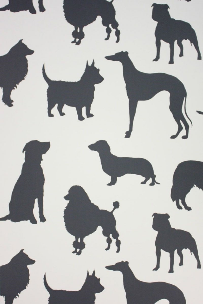 Best in show W6181-03 by Osborne and Little