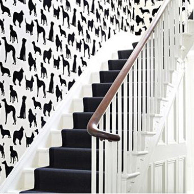 Best in show W6181-03 by Osborne and Little