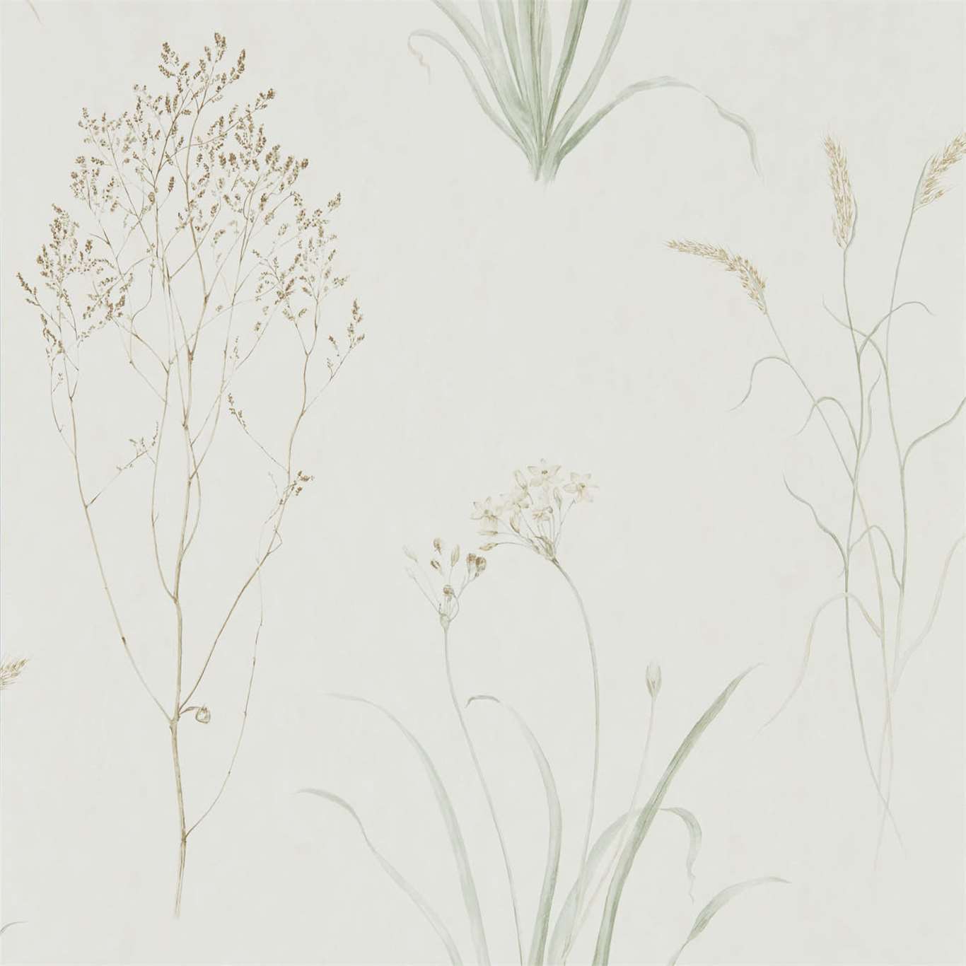 Farne Grasses Wallpaper by Sanderson