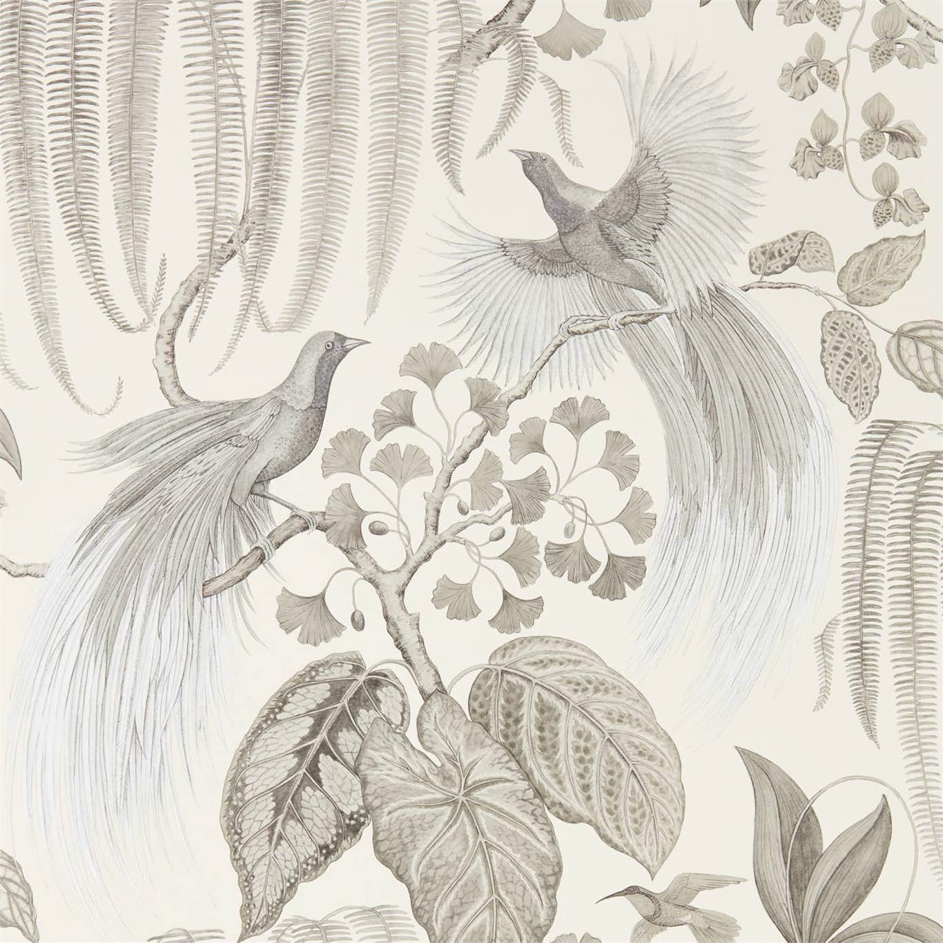 Bird Of Paradise Wallpaper by Sanderson