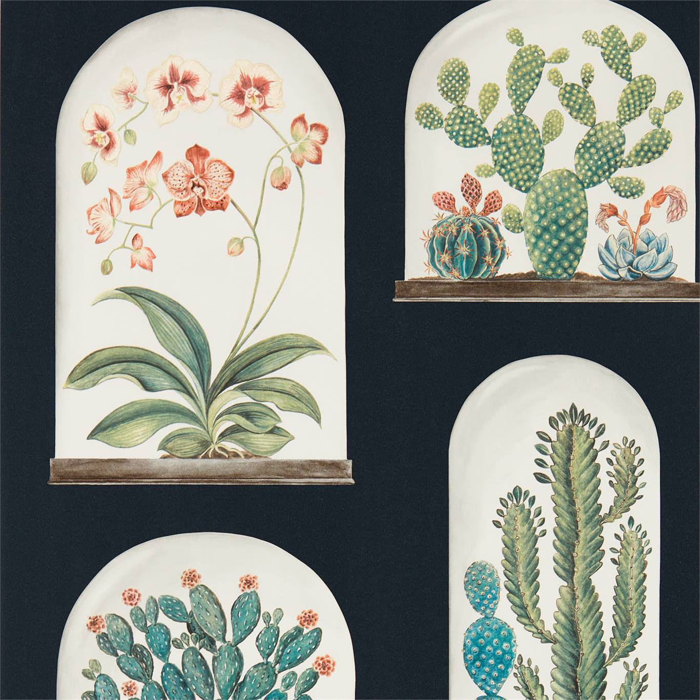 Terrariums Wallpaper by Sanderson