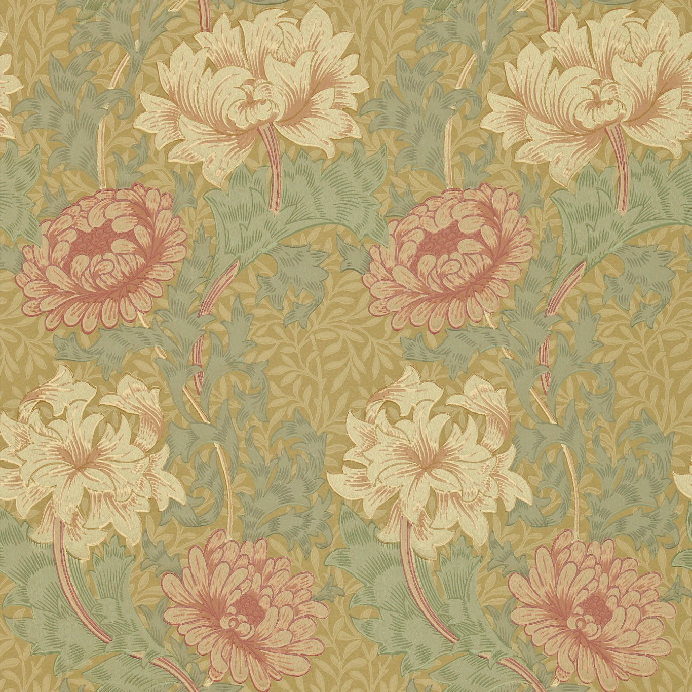 Chrysanthemum Wallpaper by Morris & Co