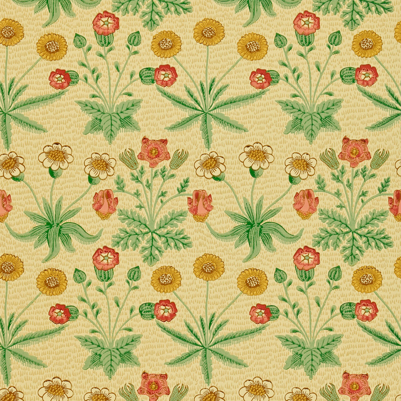 Daisy Wallpaper by Morris & Co