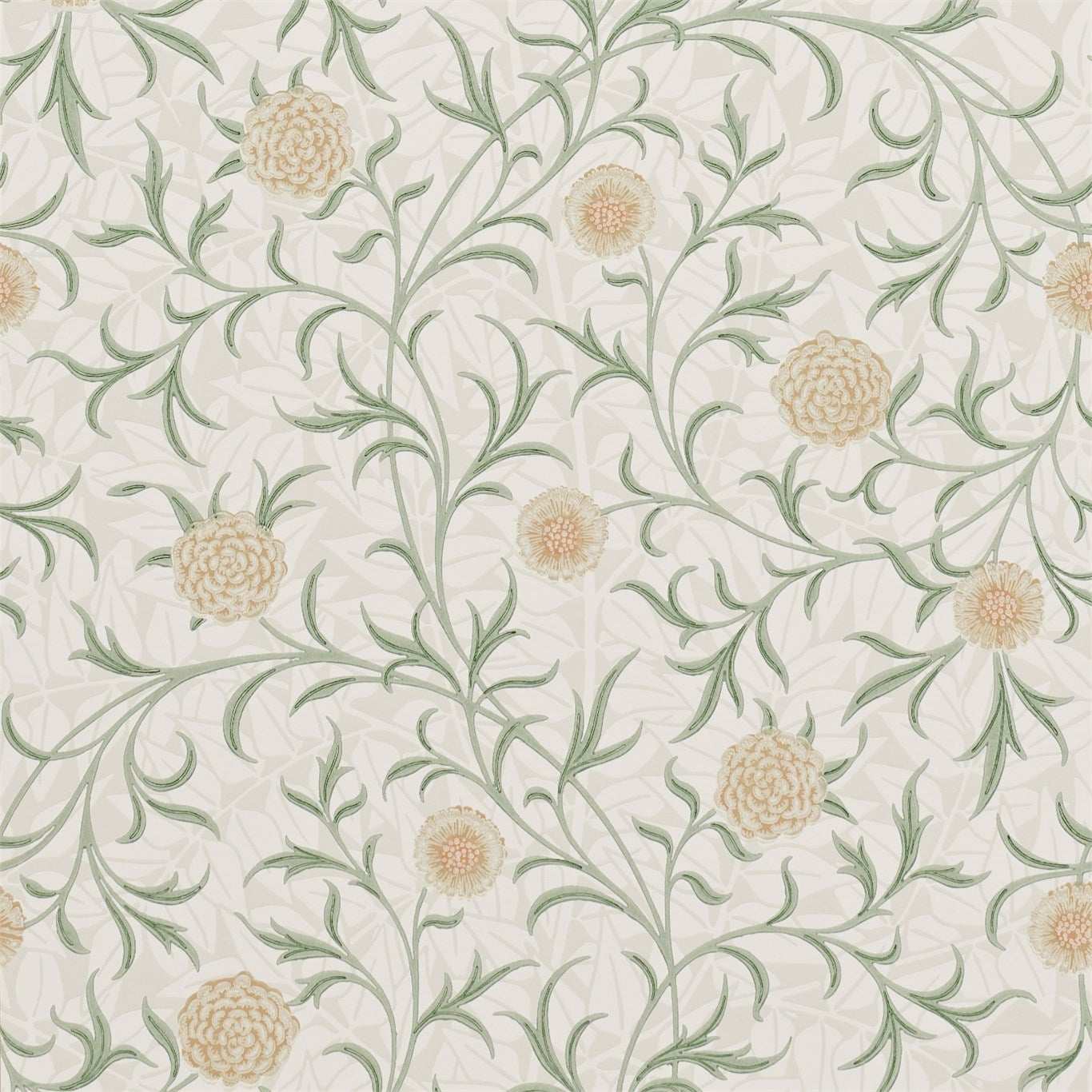 Scroll Wallpaper by Morris & Co