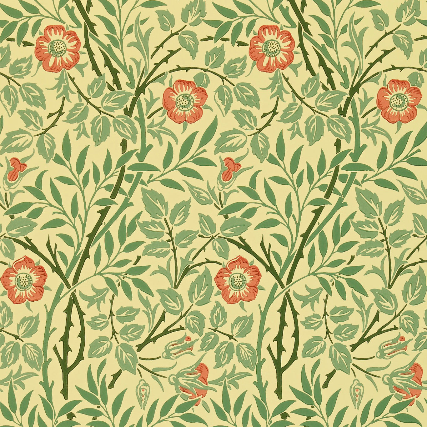 Sweet Briar Wallpaper by Morris & Co