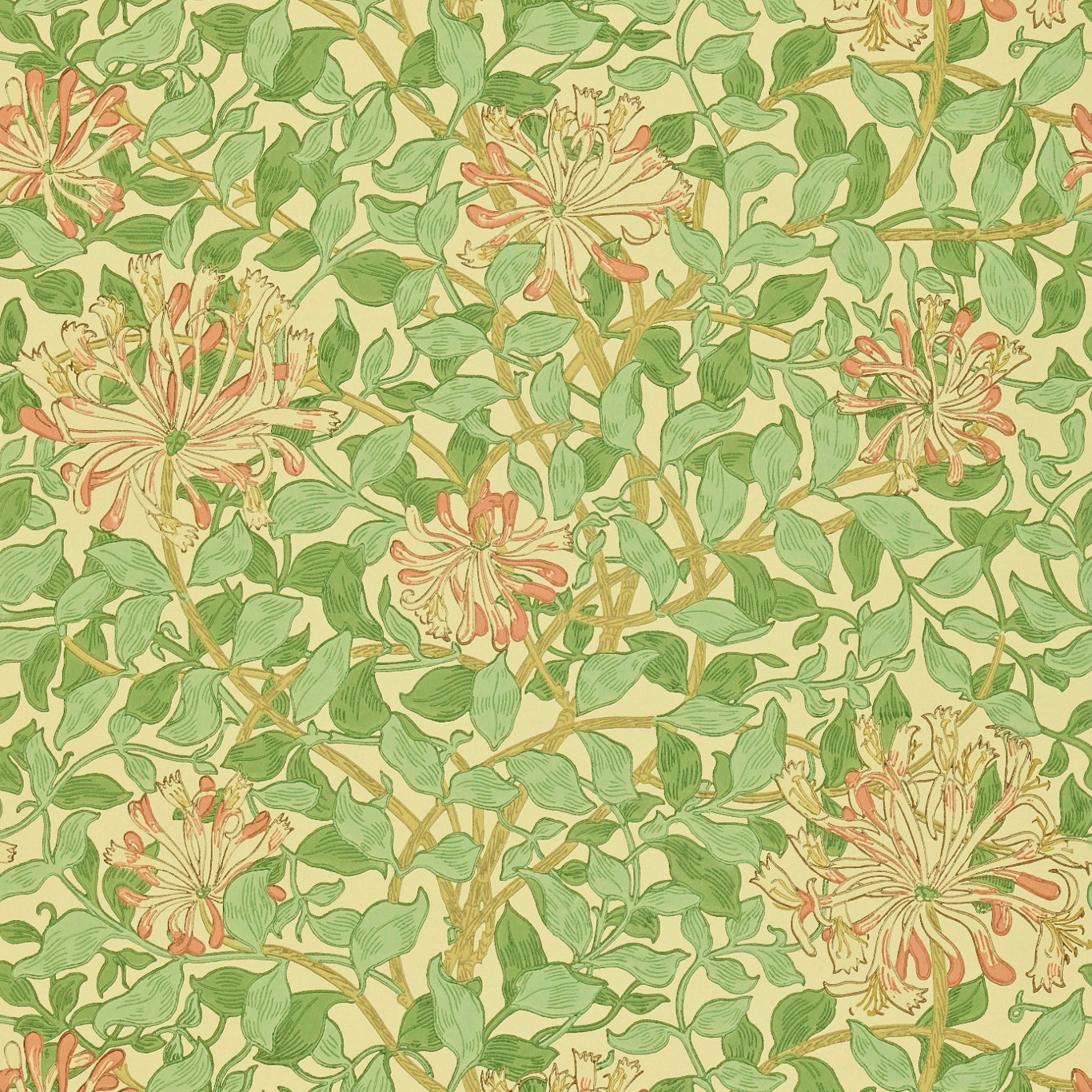 Honeysuckle Wallpaper by Morris & Co.