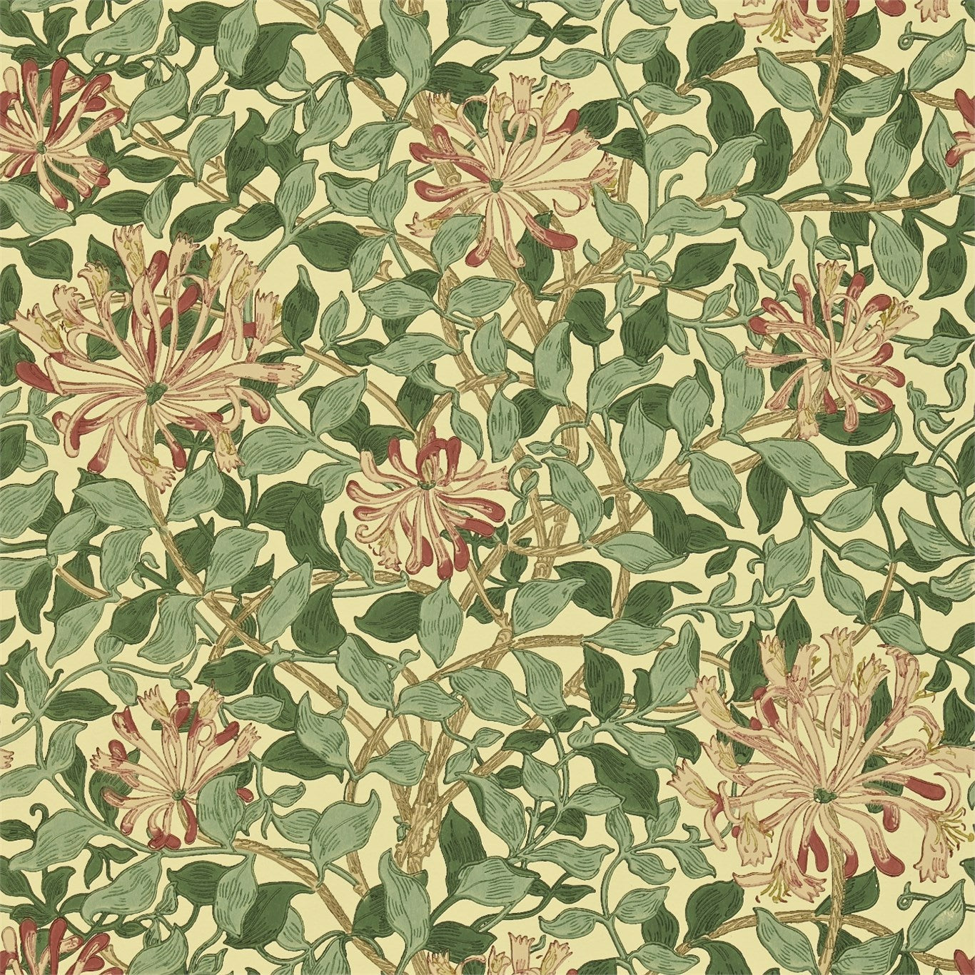 Honeysuckle Wallpaper by Morris & Co.