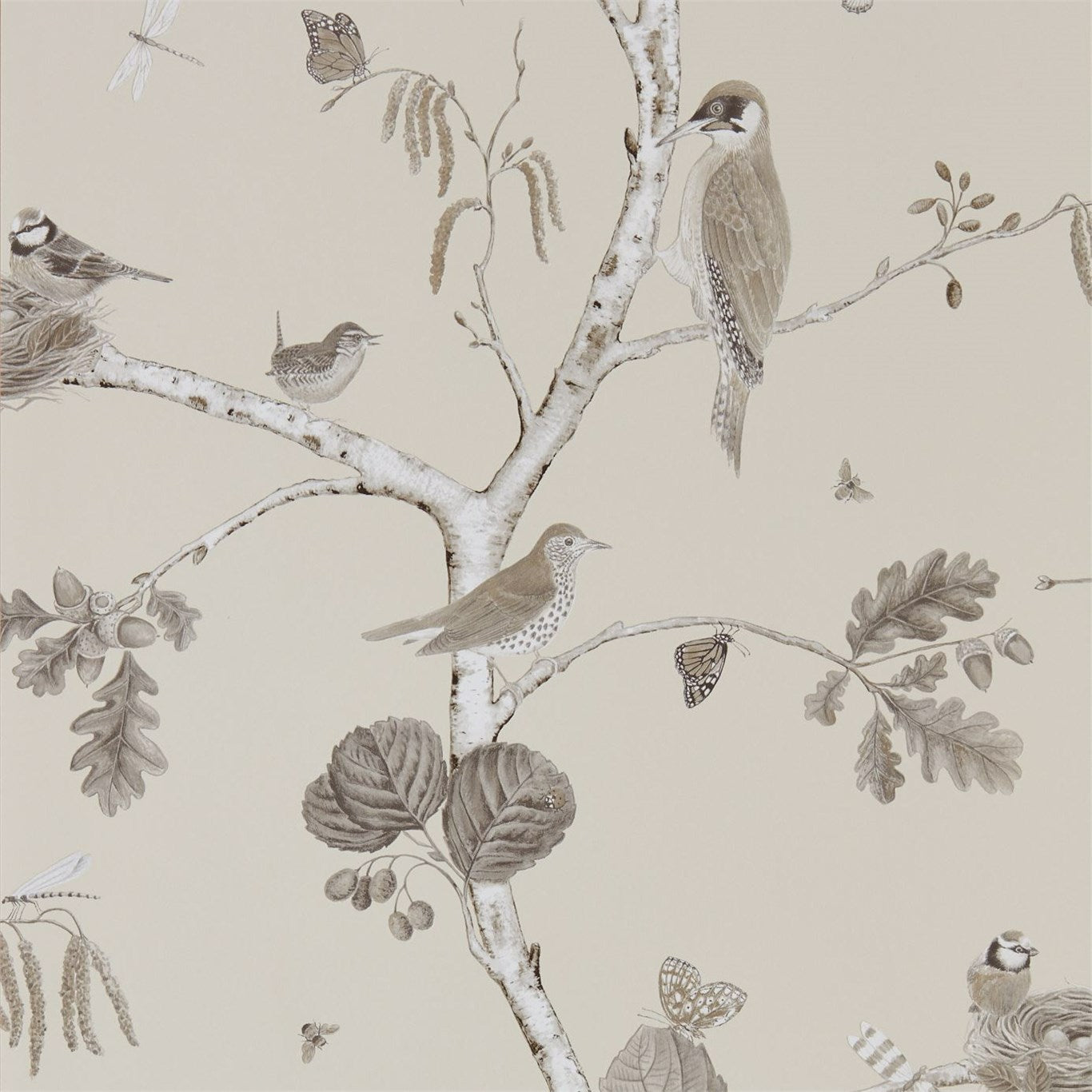 Woodland Chorus Wallpaper by Sanderson