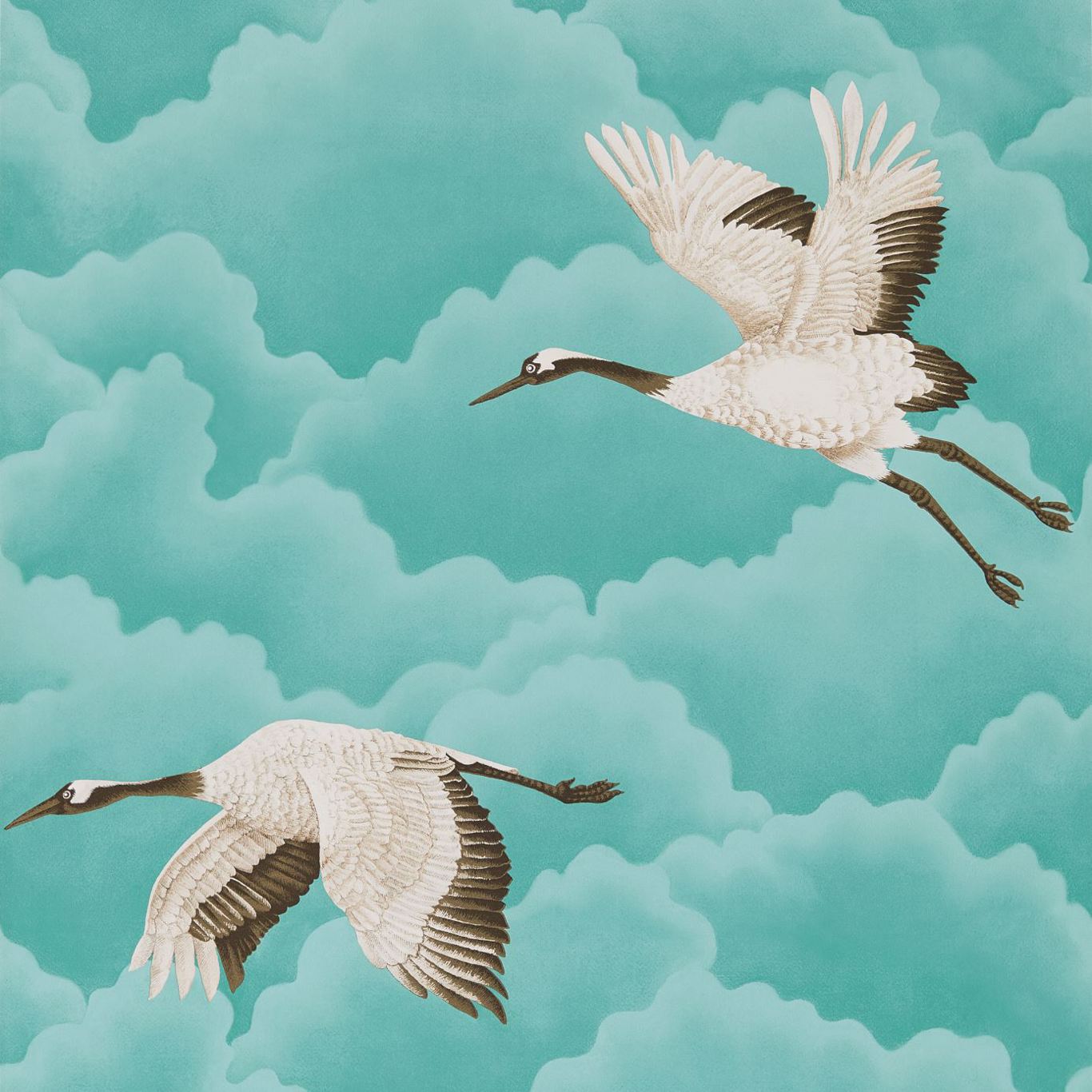 Harlequin Cranes In Flight Wallpaper