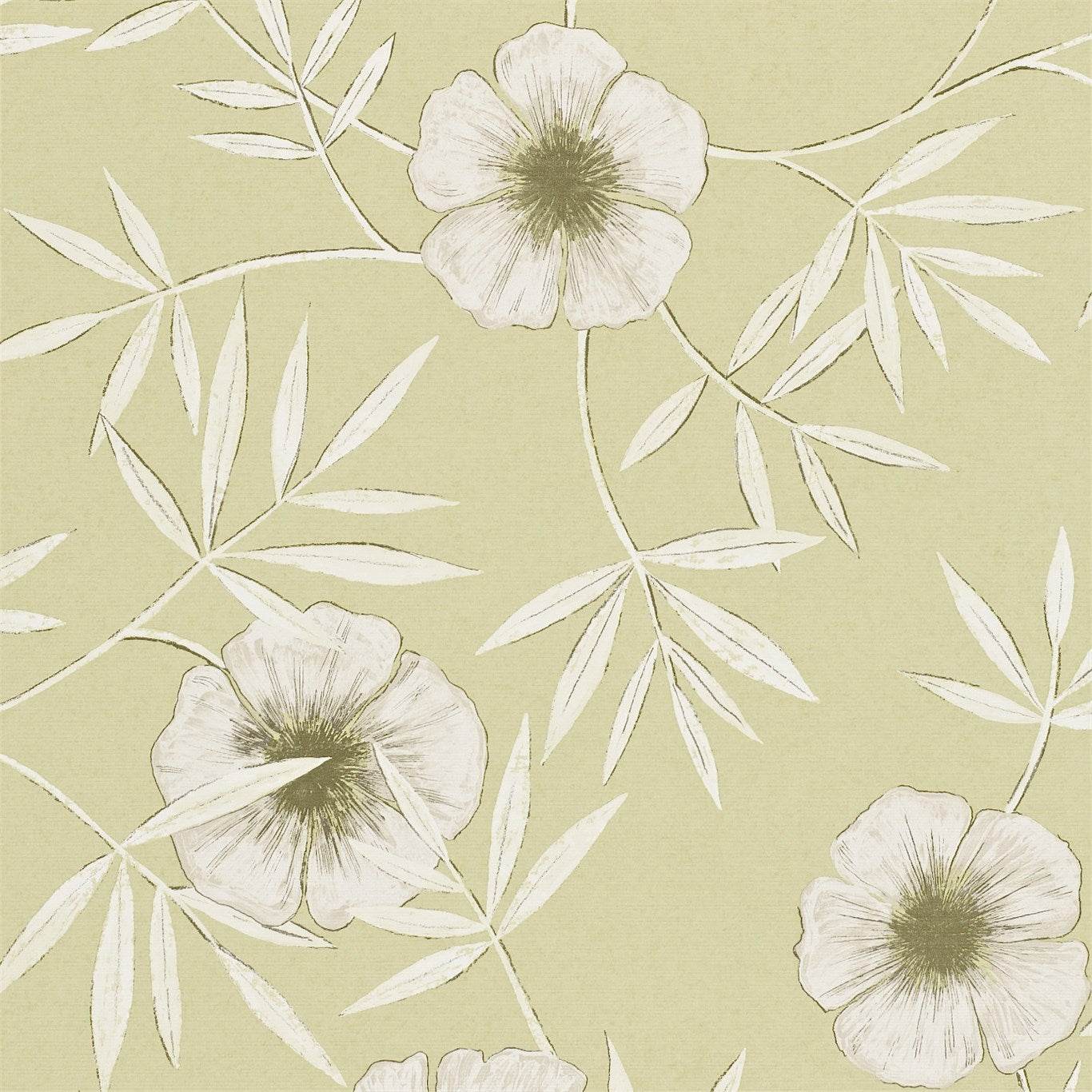 Apella Wallpaper by Harlequin