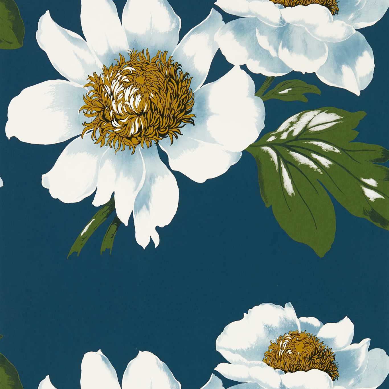 Paeonia Wallpaper by Harlequin