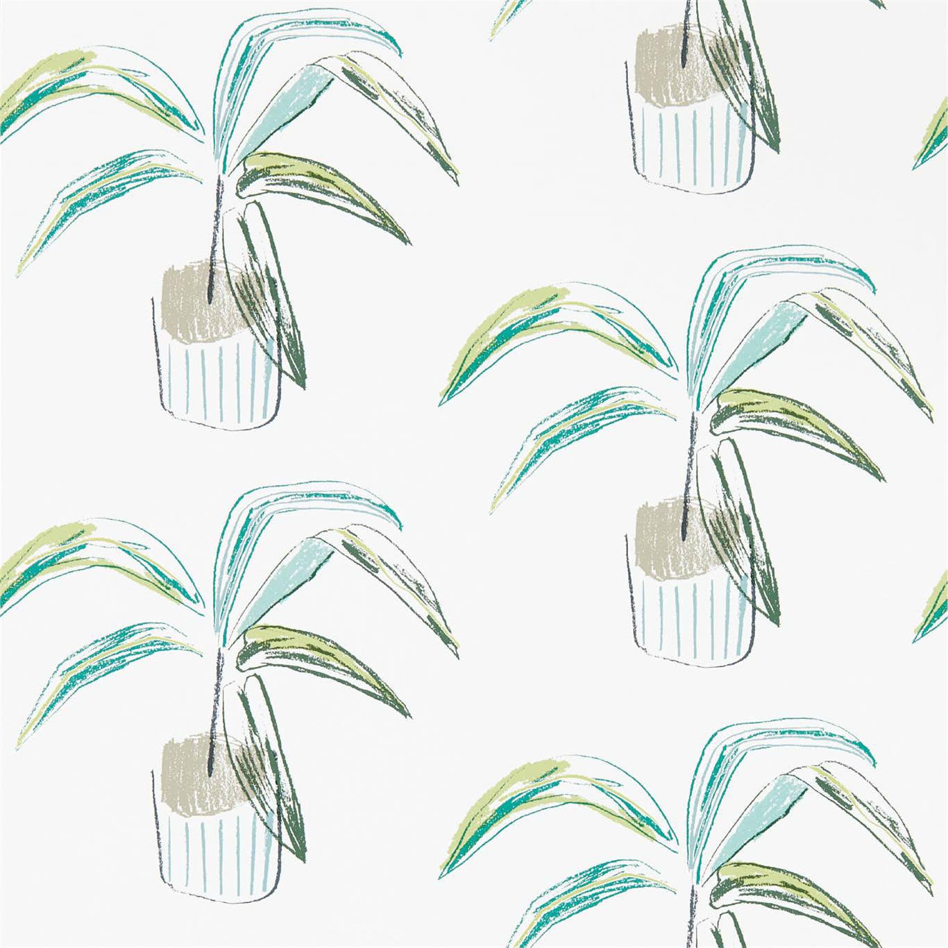 Crassula Wallpaper by Scion