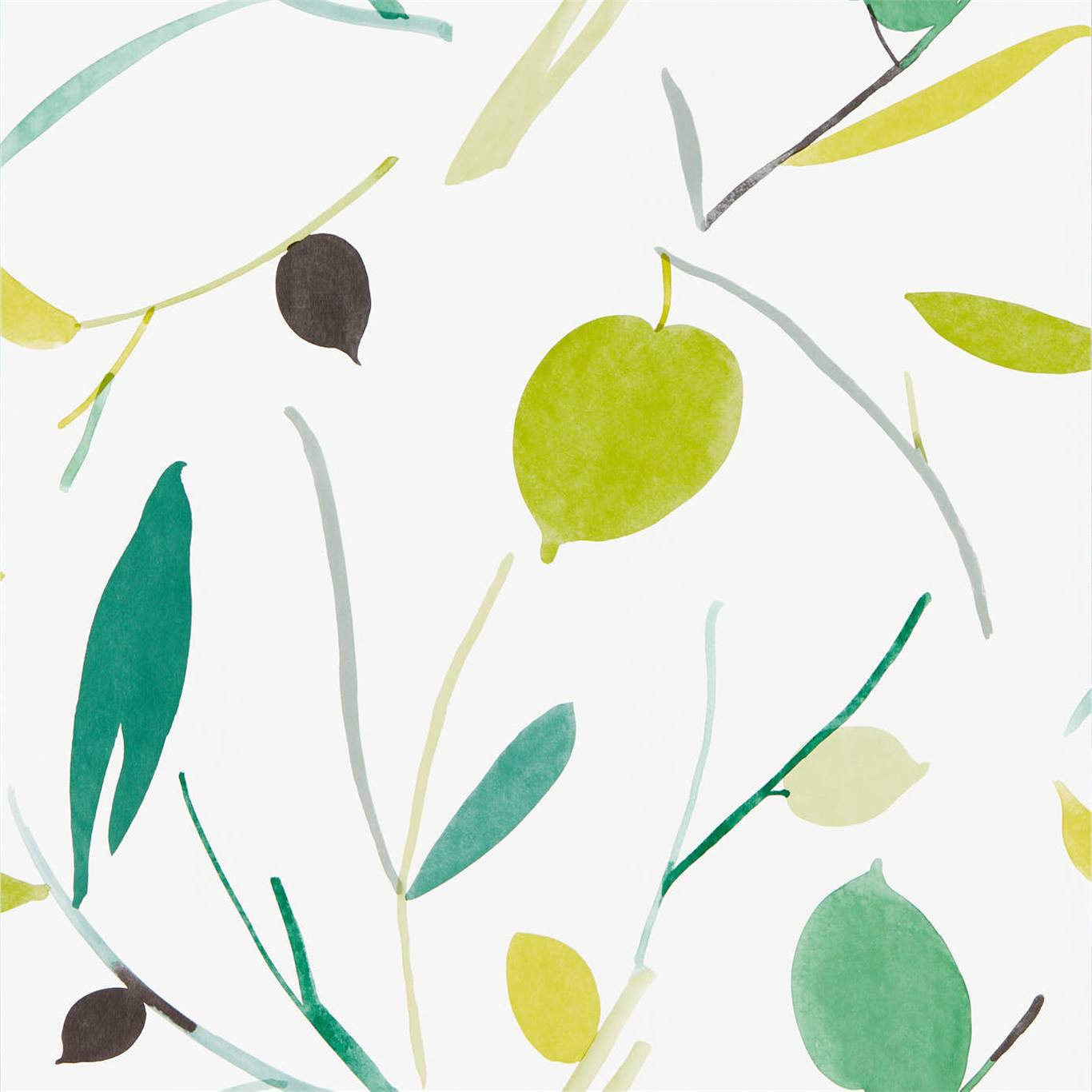 Oxalis Wallpaper by Scion