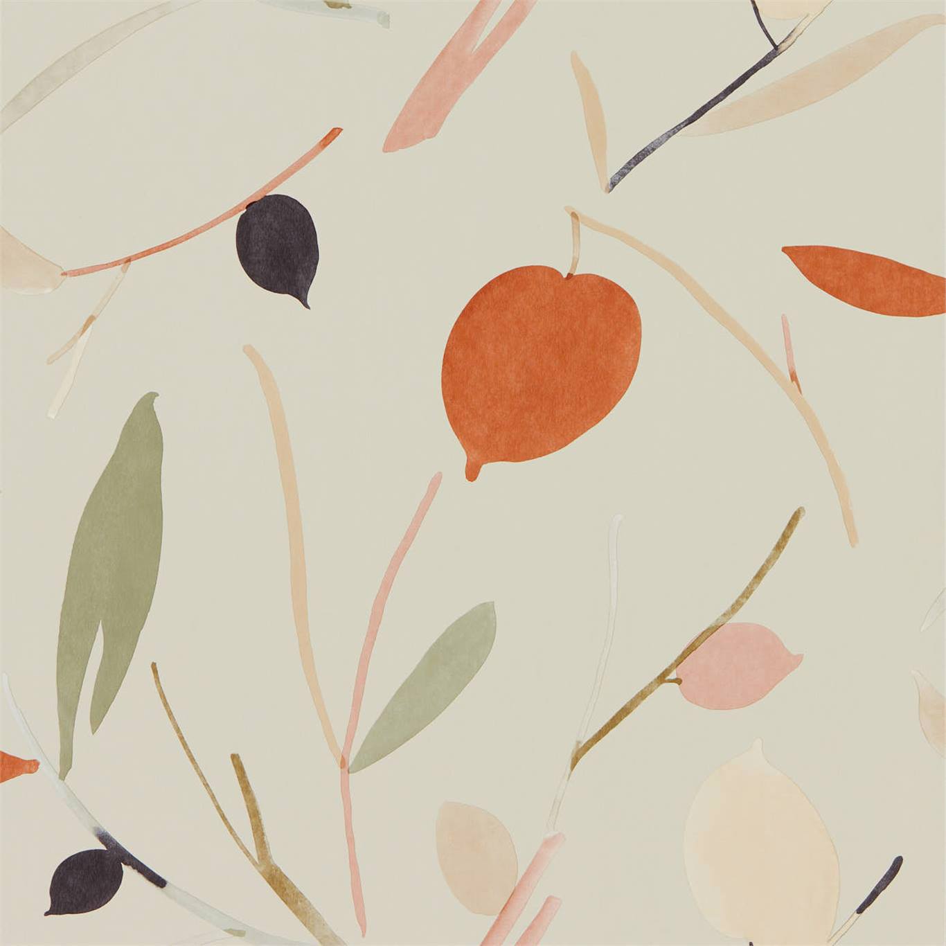 Oxalis Wallpaper by Scion