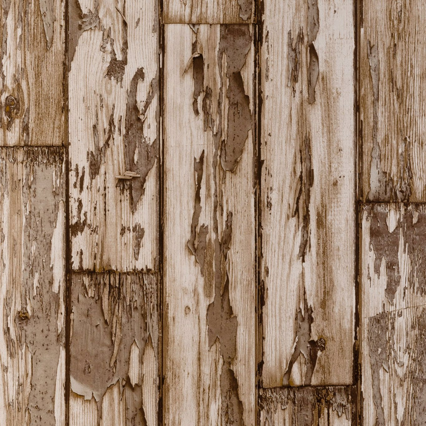 Peeling Planks Wallpaper by Clarke and Clarke