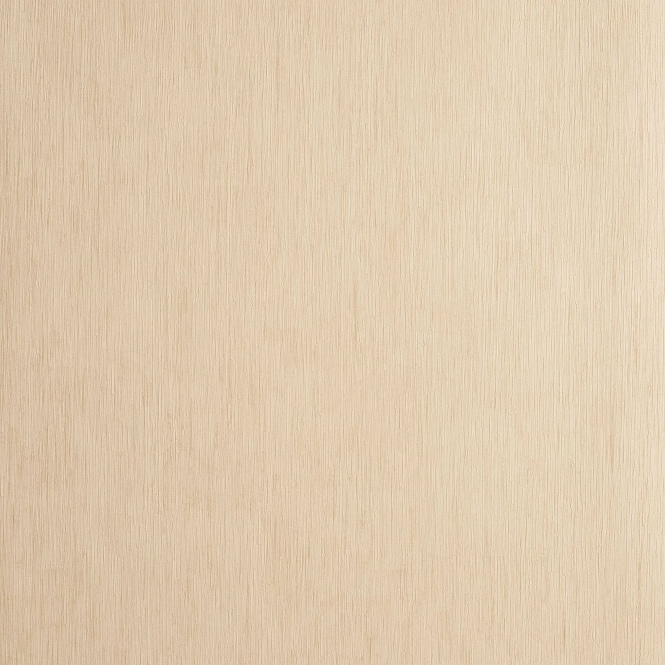 Rafi Wallpaper by Clarke and Clarke