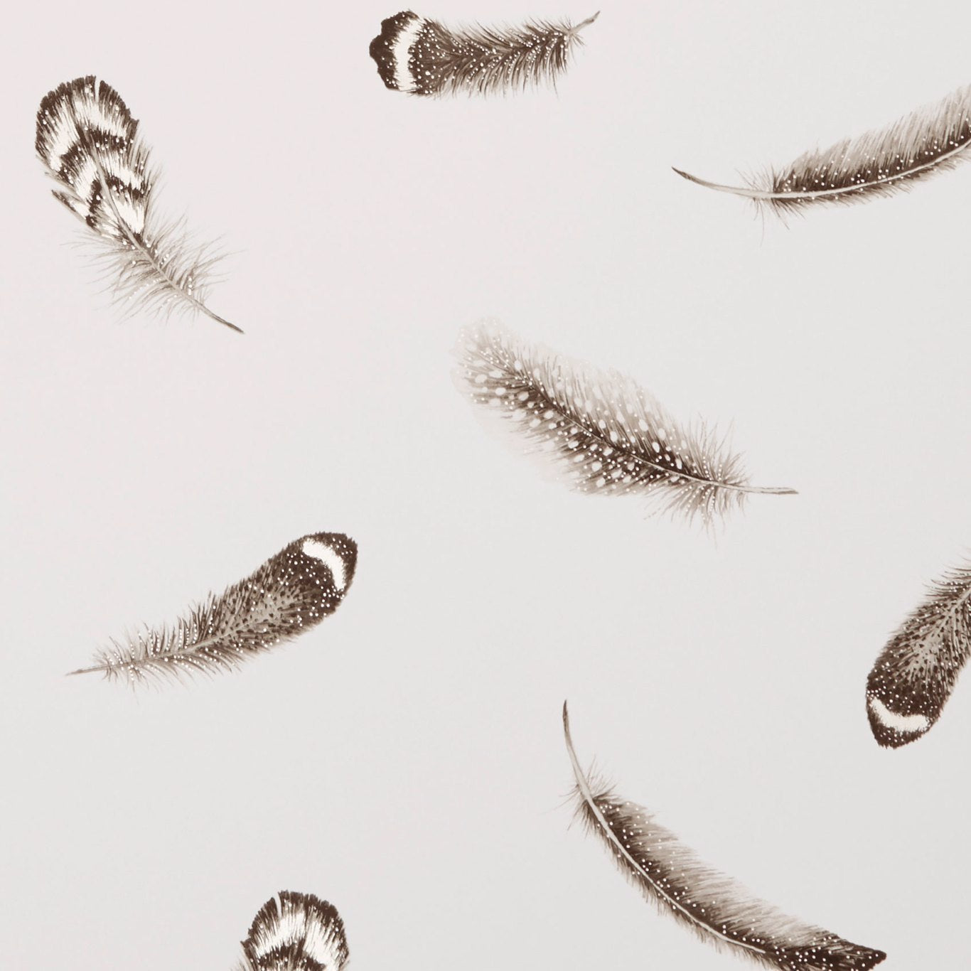 Plumis Wallpaper by Clarke & Clarke