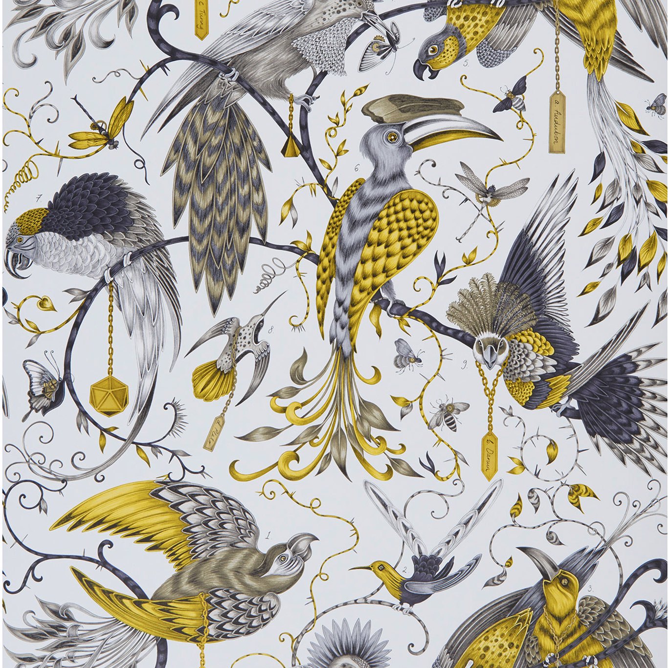 Audubon Wallpaper by Emma Shipley