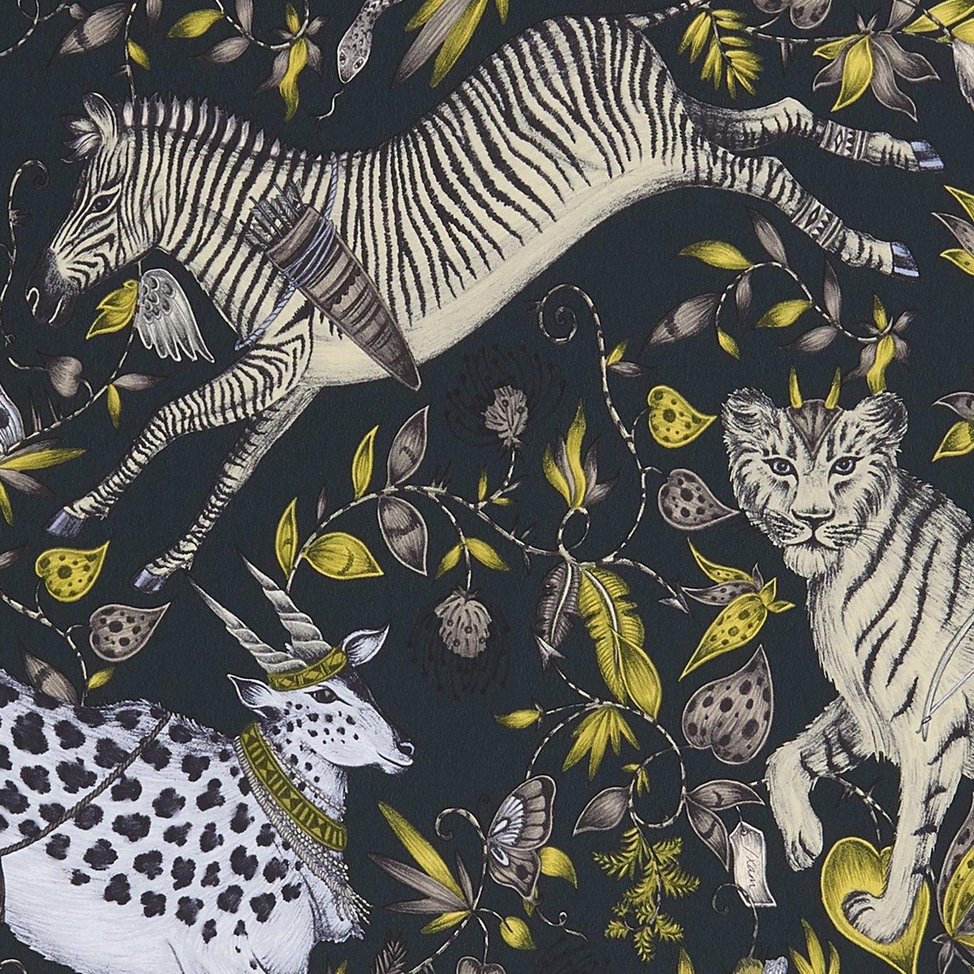 Protea Wallpaper by Emma Shipley