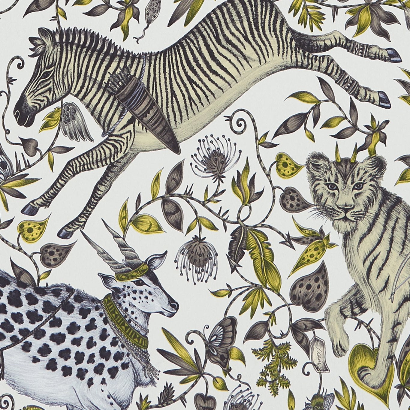 Protea Wallpaper by Emma Shipley