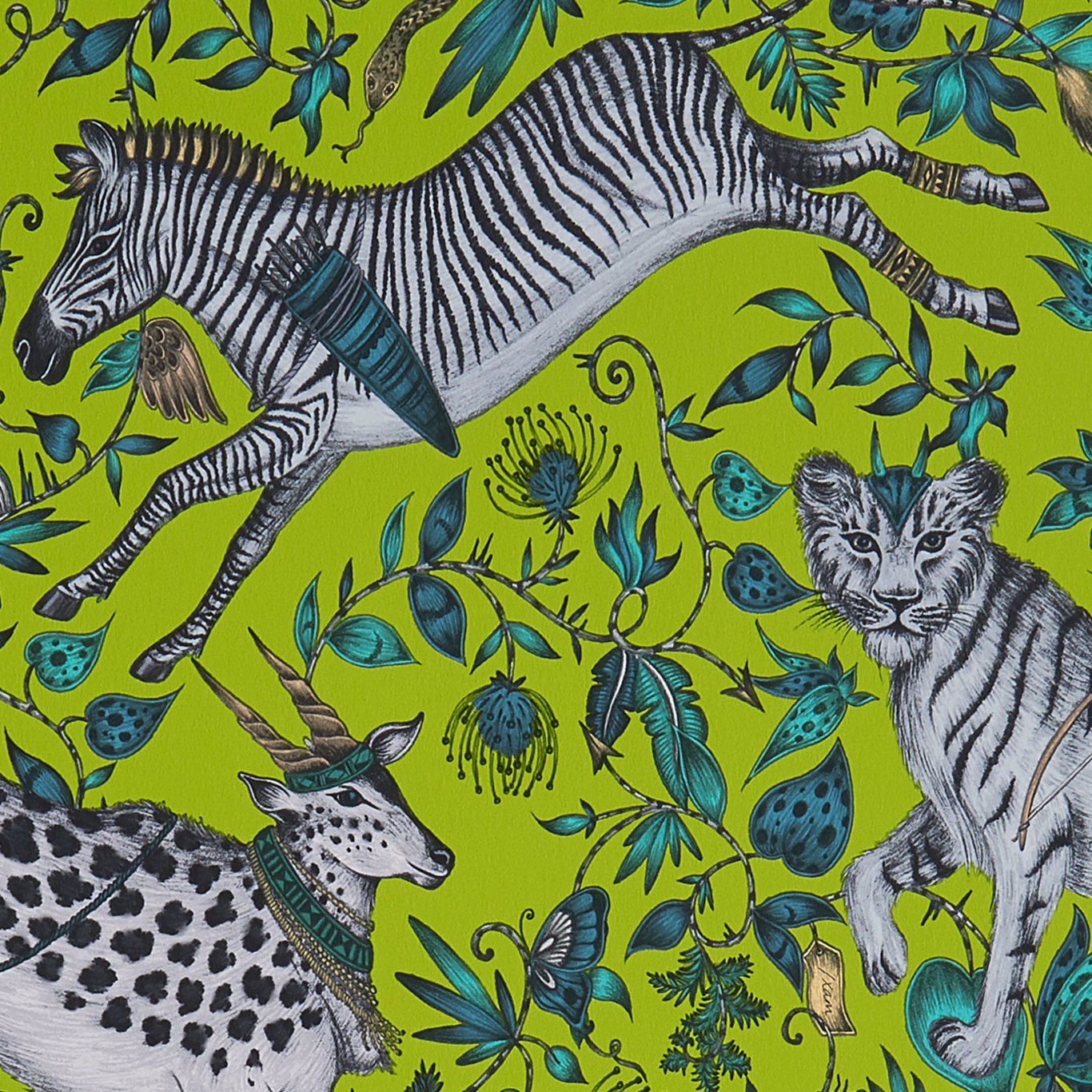 Protea Wallpaper by Emma Shipley