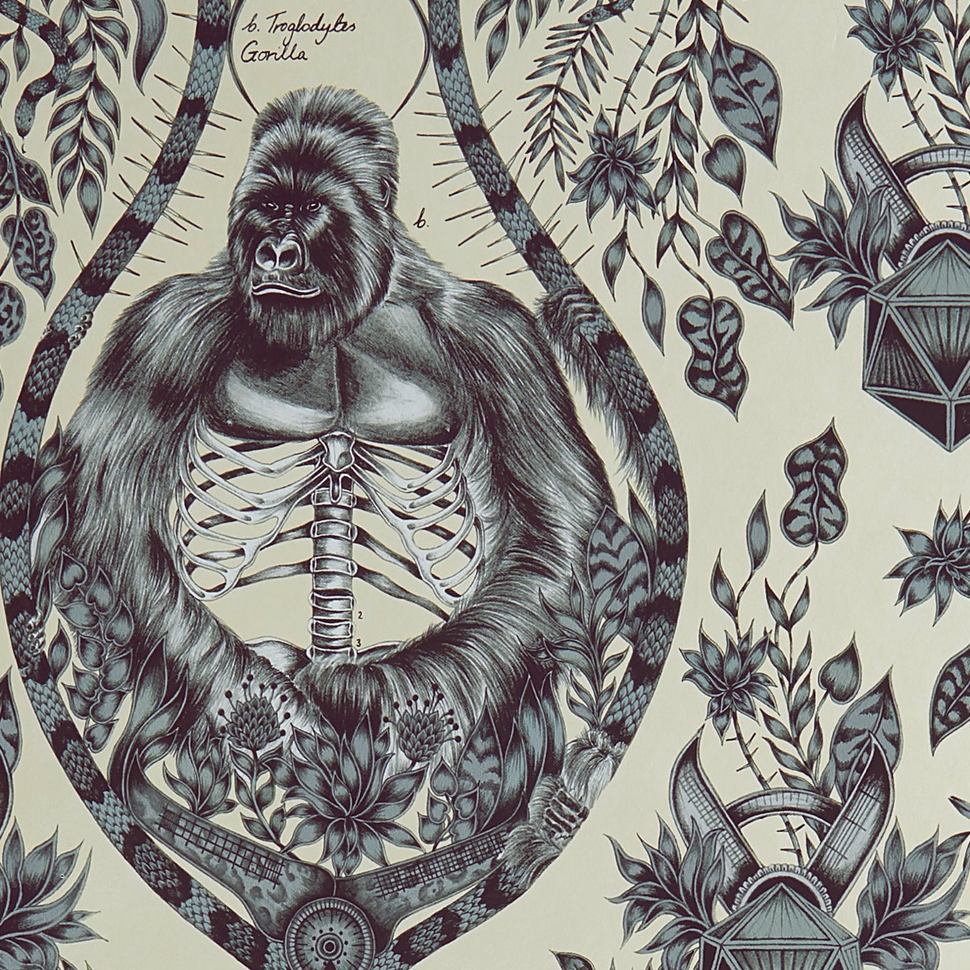 Silverback Wallpaper by Emma Shipley