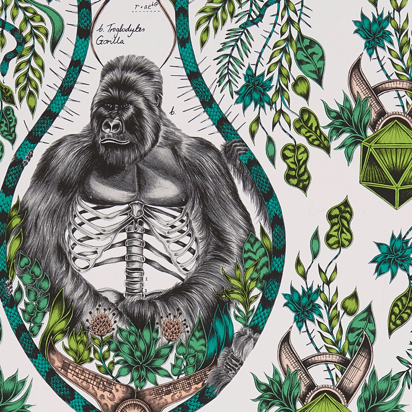 Silverback Wallpaper by Emma Shipley