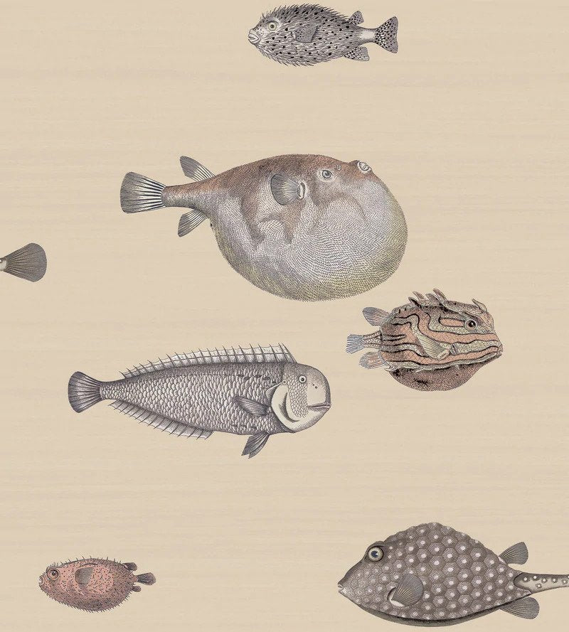 Cole & Son Acquario Wallpaper