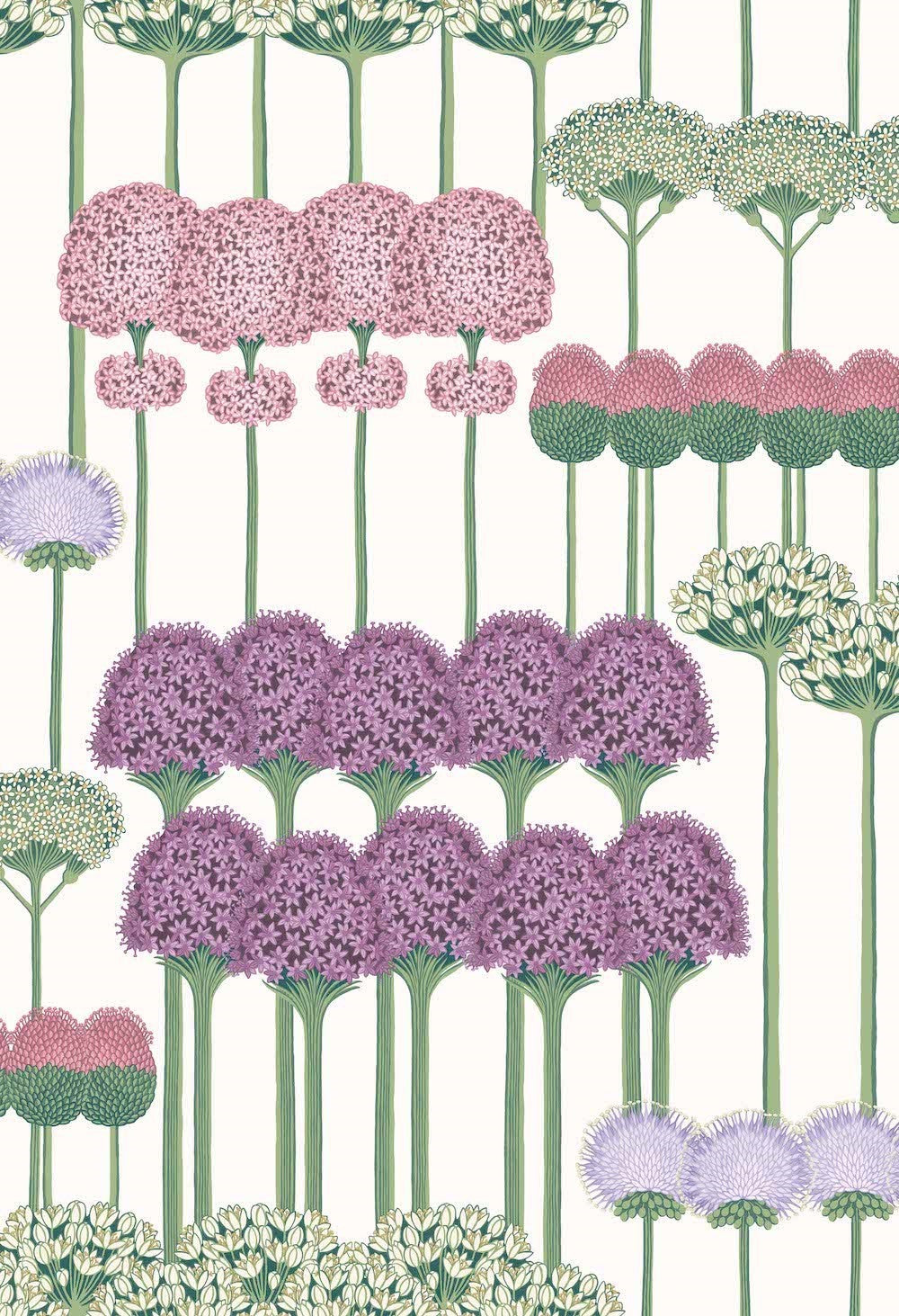 Cole & Son Allium Wallpaper