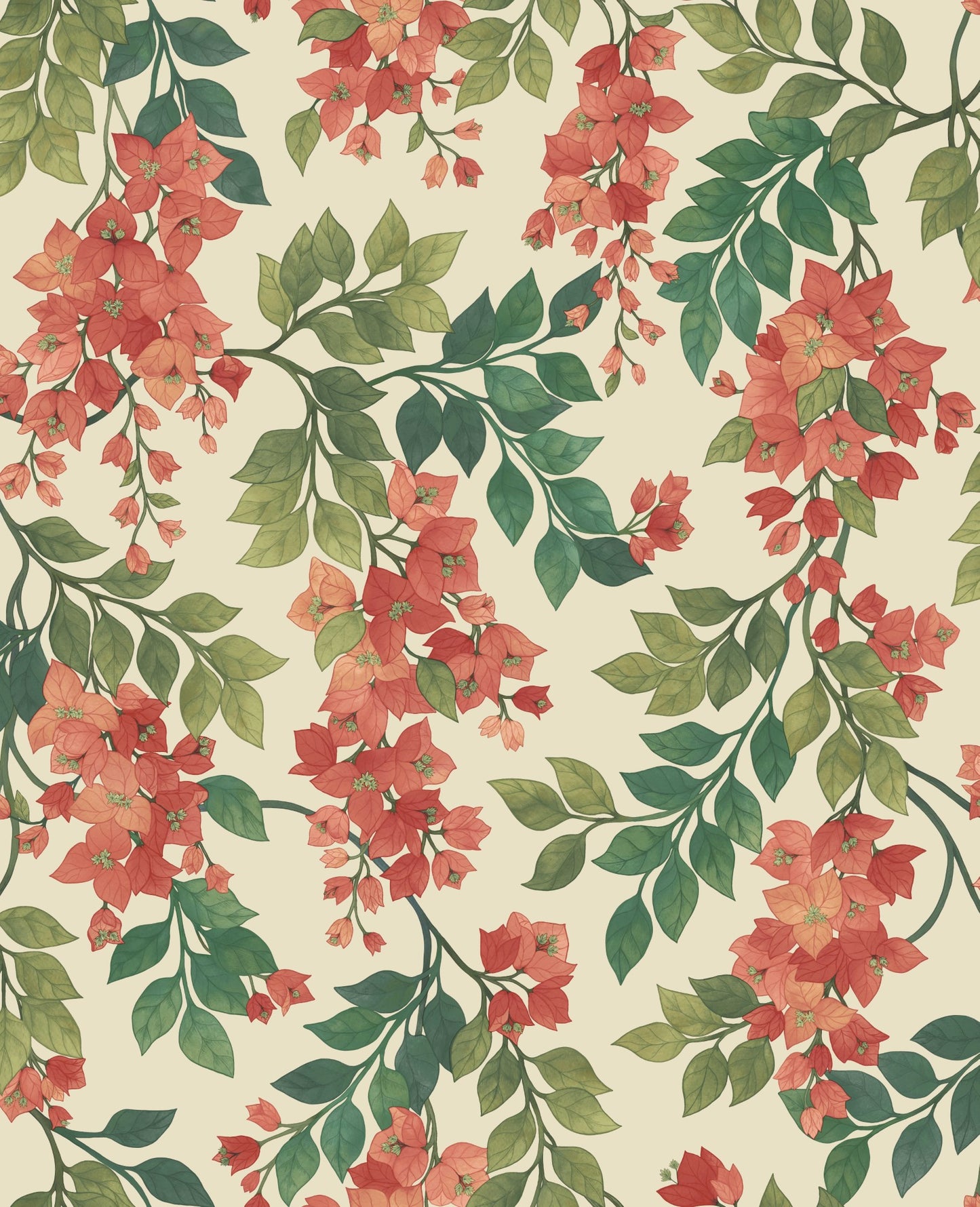 Cole & Son Bougainvillea Wallpaper