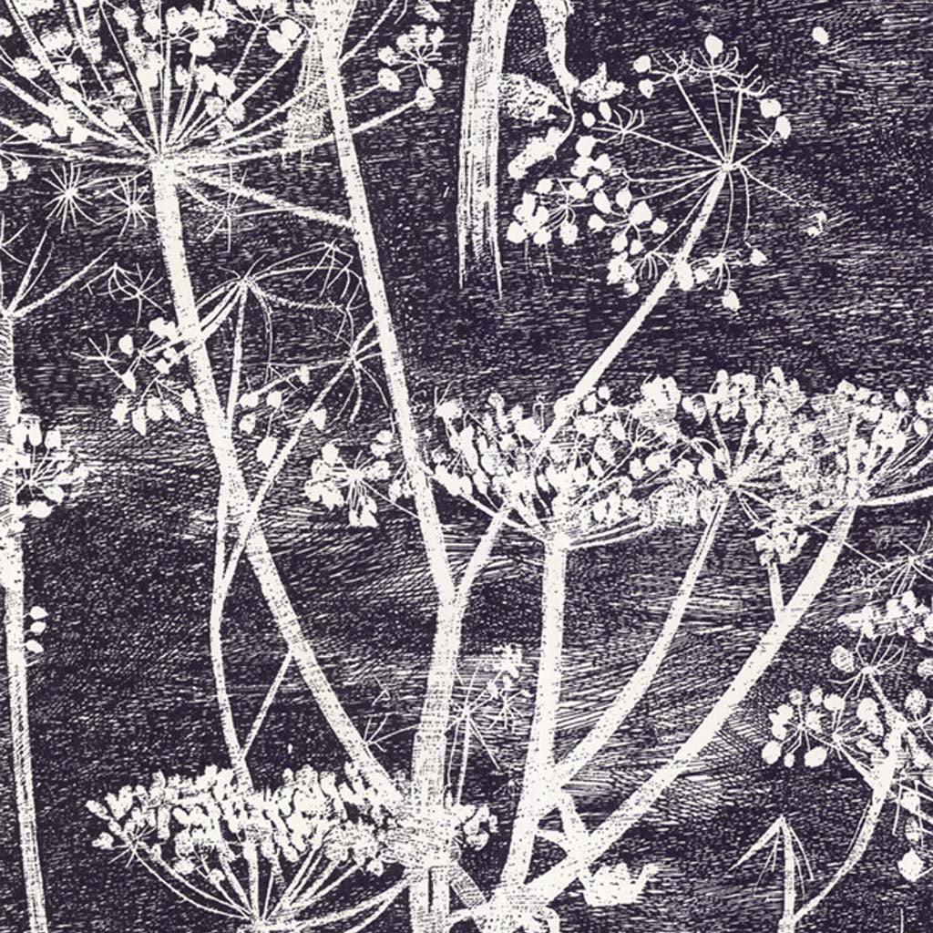 Cole & Son Cow Parsley Wallpaper