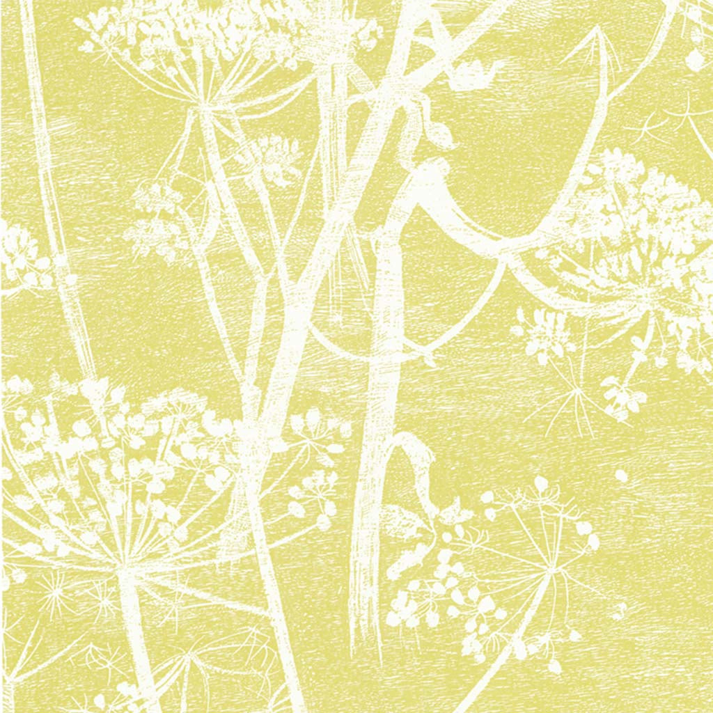 Cole & Son Cow Parsley Wallpaper