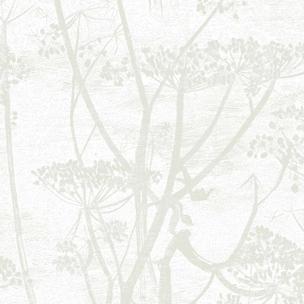 Cole & Son Cow Parsley Restyled Wallpaper
