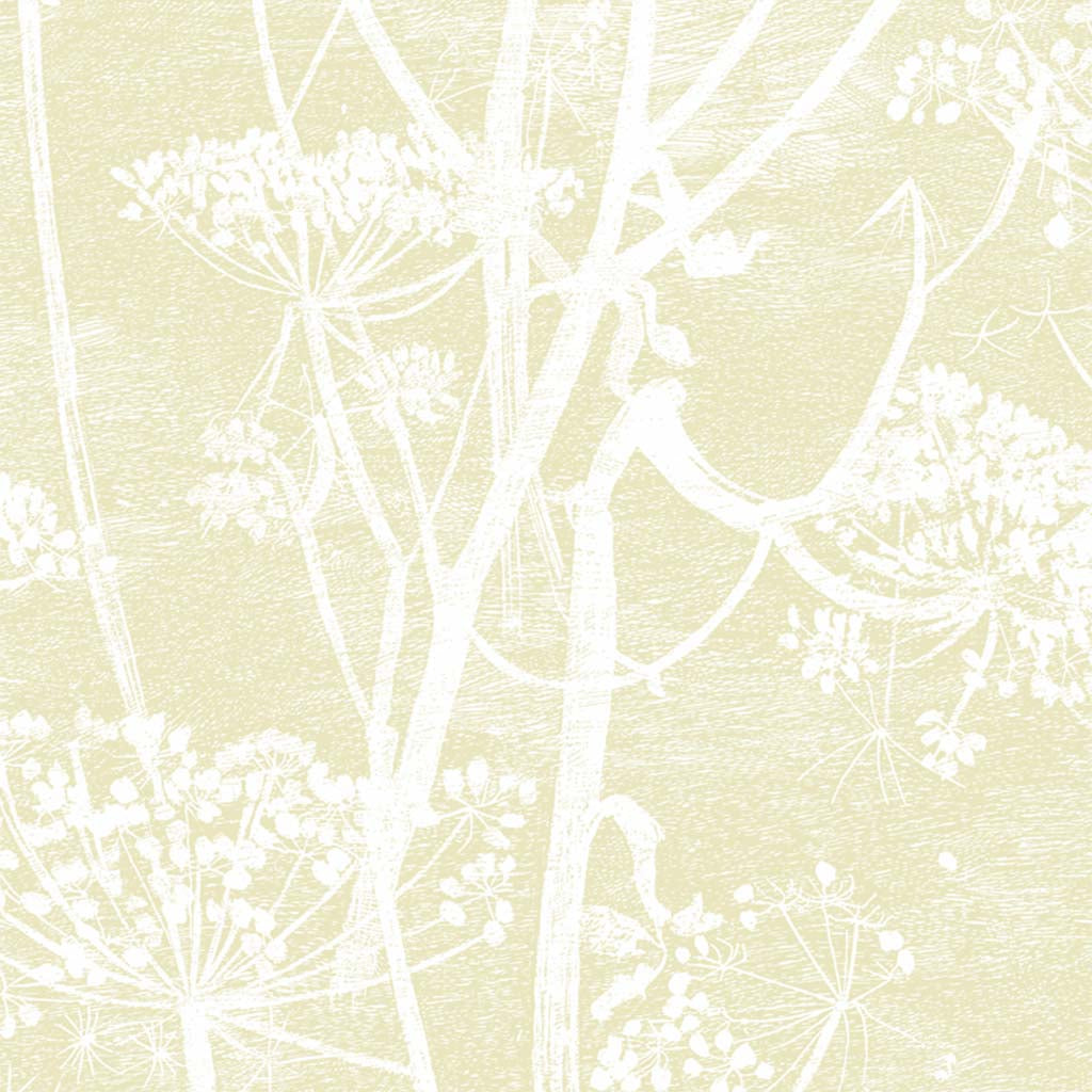 Cole & Son Cow Parsley Restyled Wallpaper