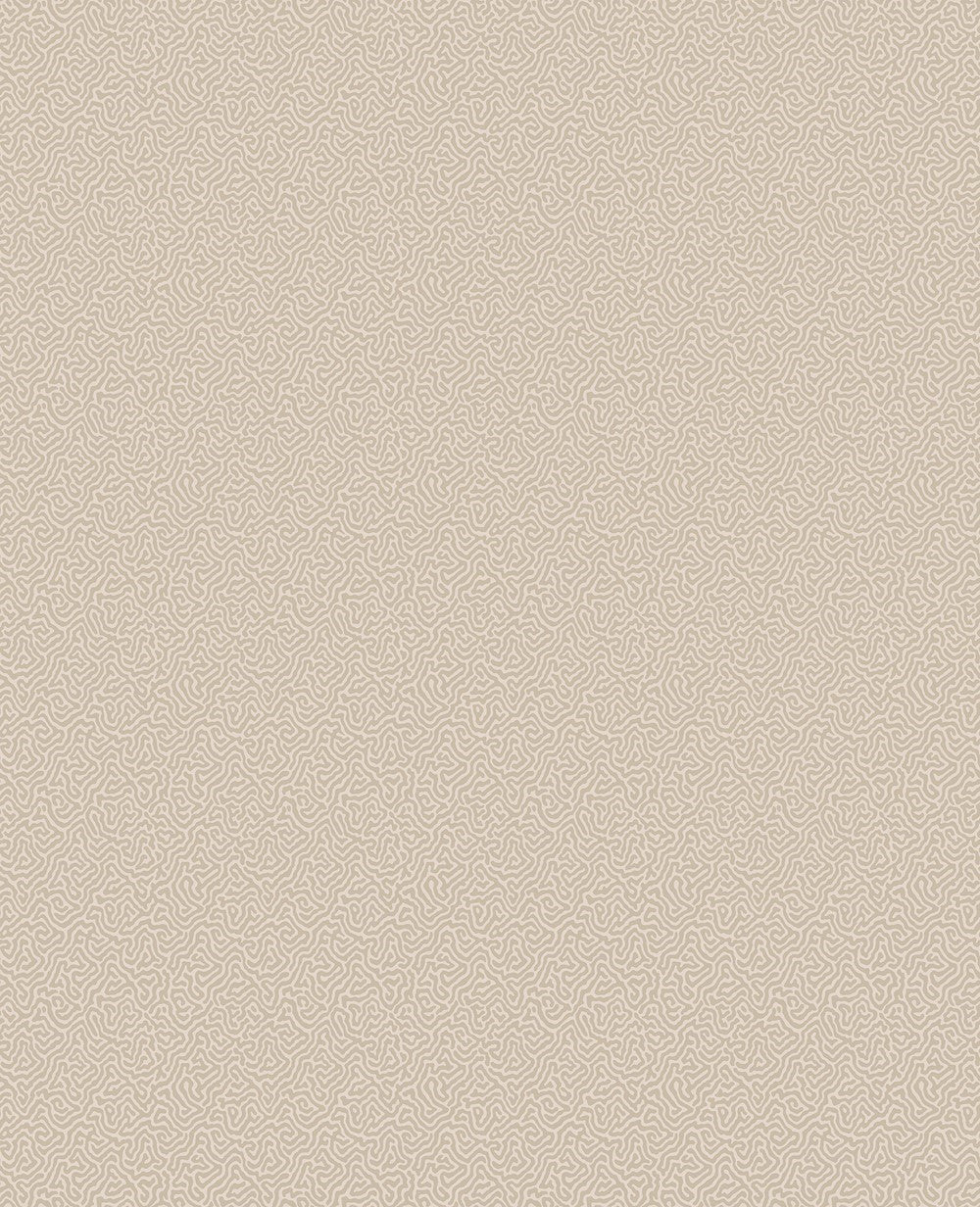Cole & Son Coral Wallpaper