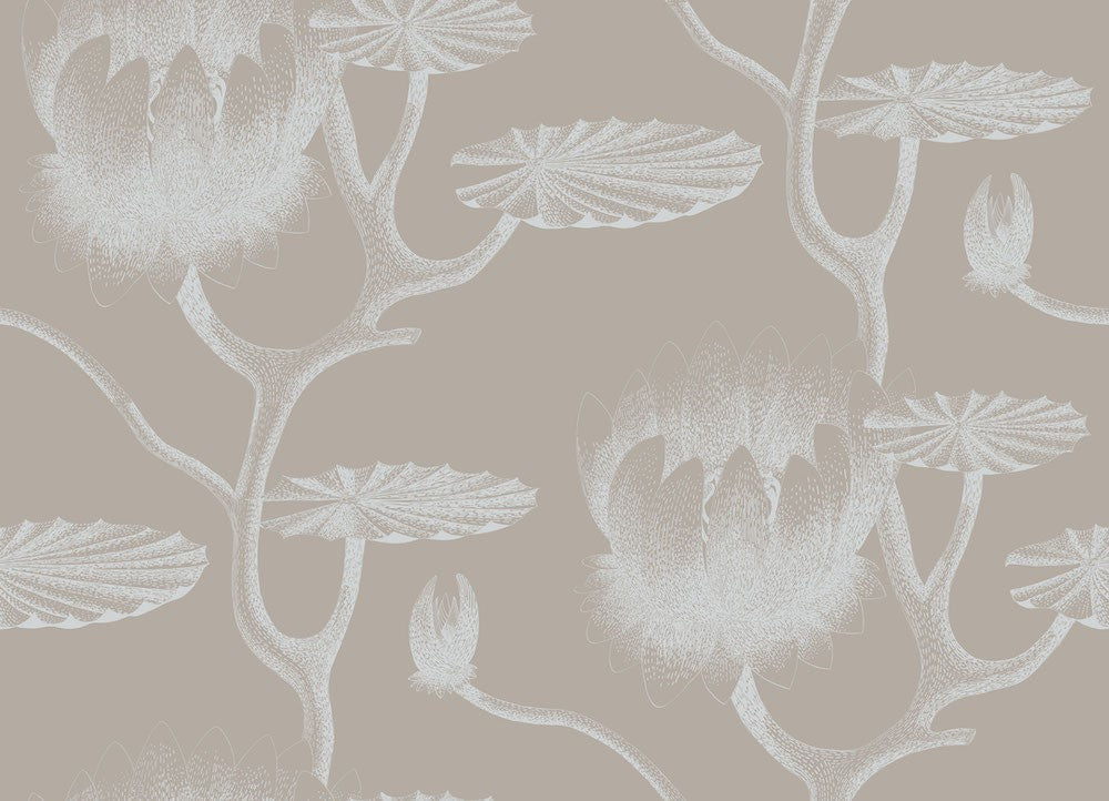 Cole & Son Lily Wallpaper