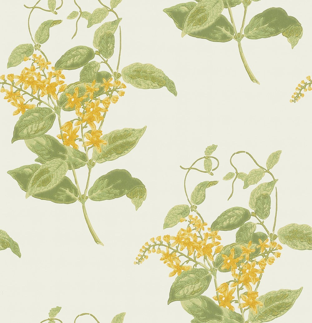 Cole & Son Madras Violet Wallpaper