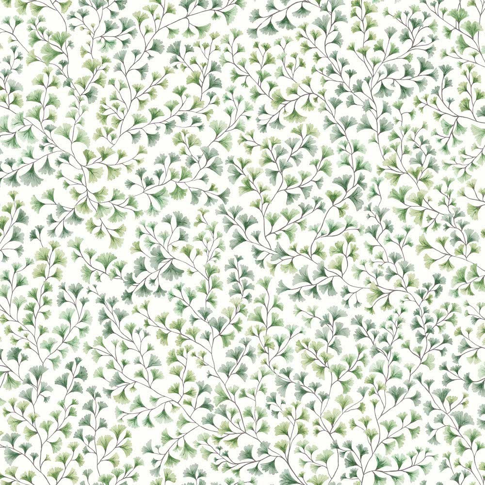 Cole & Son Maidenhair Wallpaper