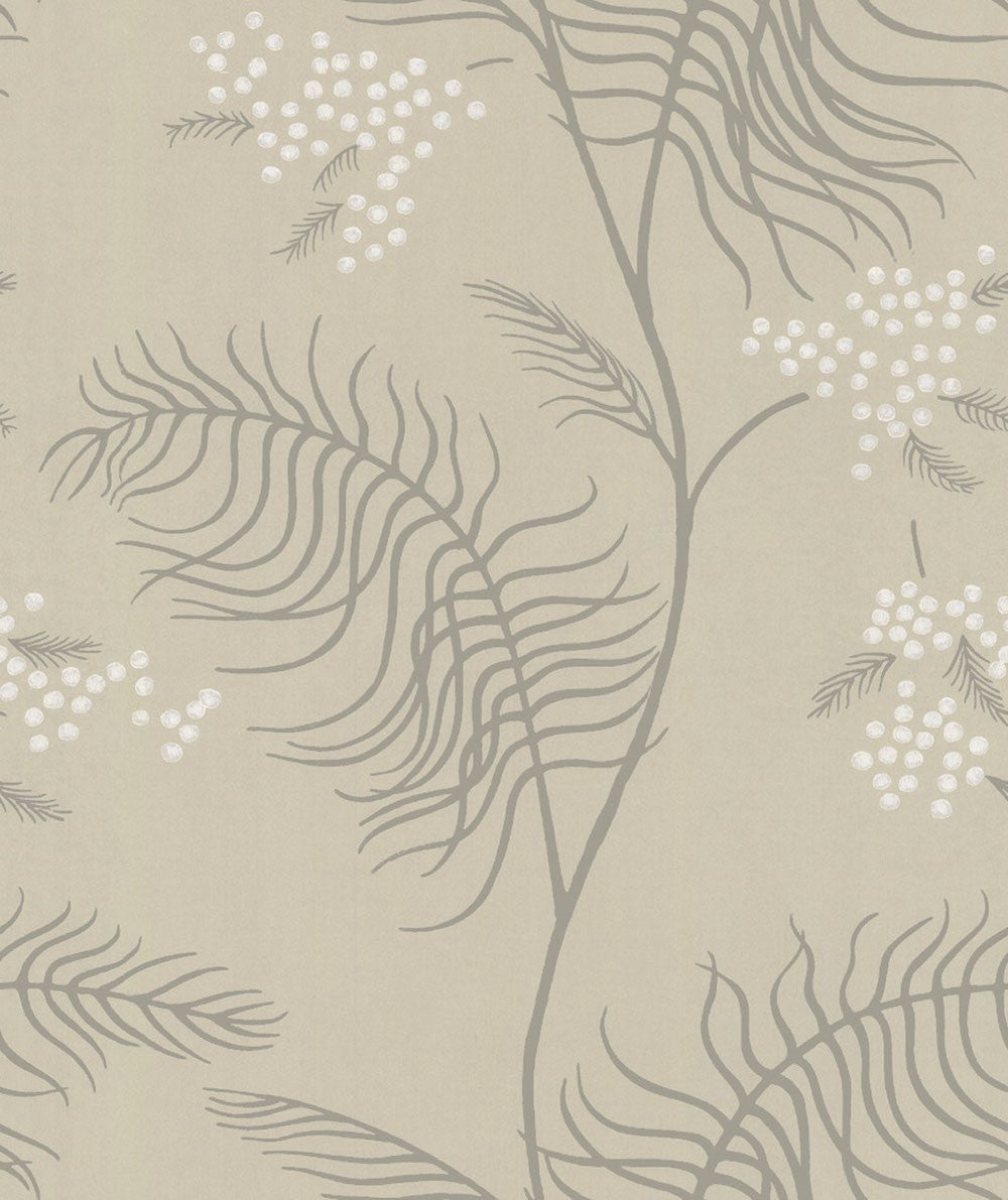 Cole & Son Mimosa Wallpaper