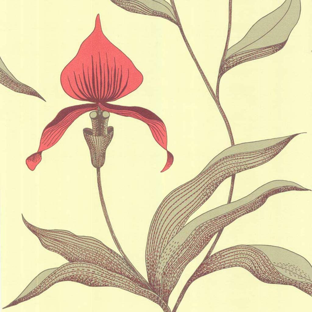 Cole & Son Orchid Wallpaper