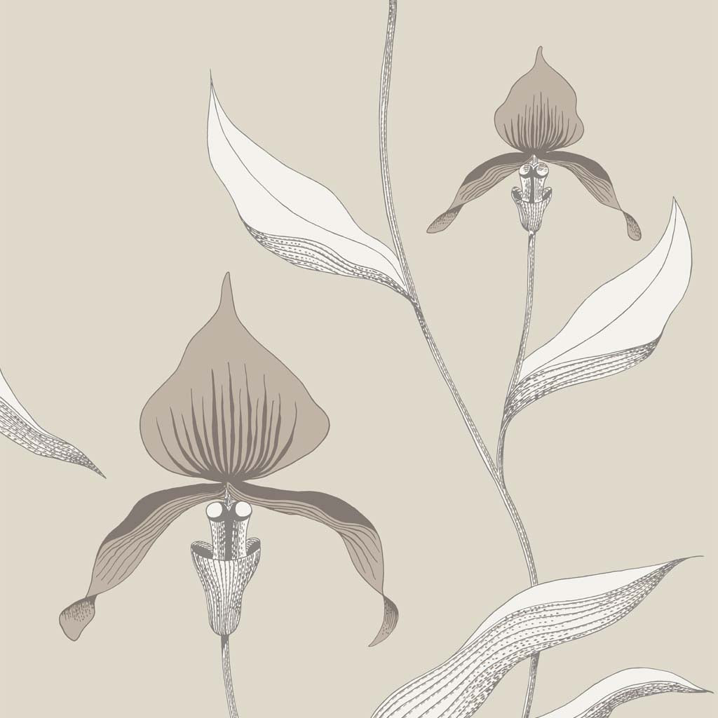 Cole & Son Orchid Restyled Wallpaper