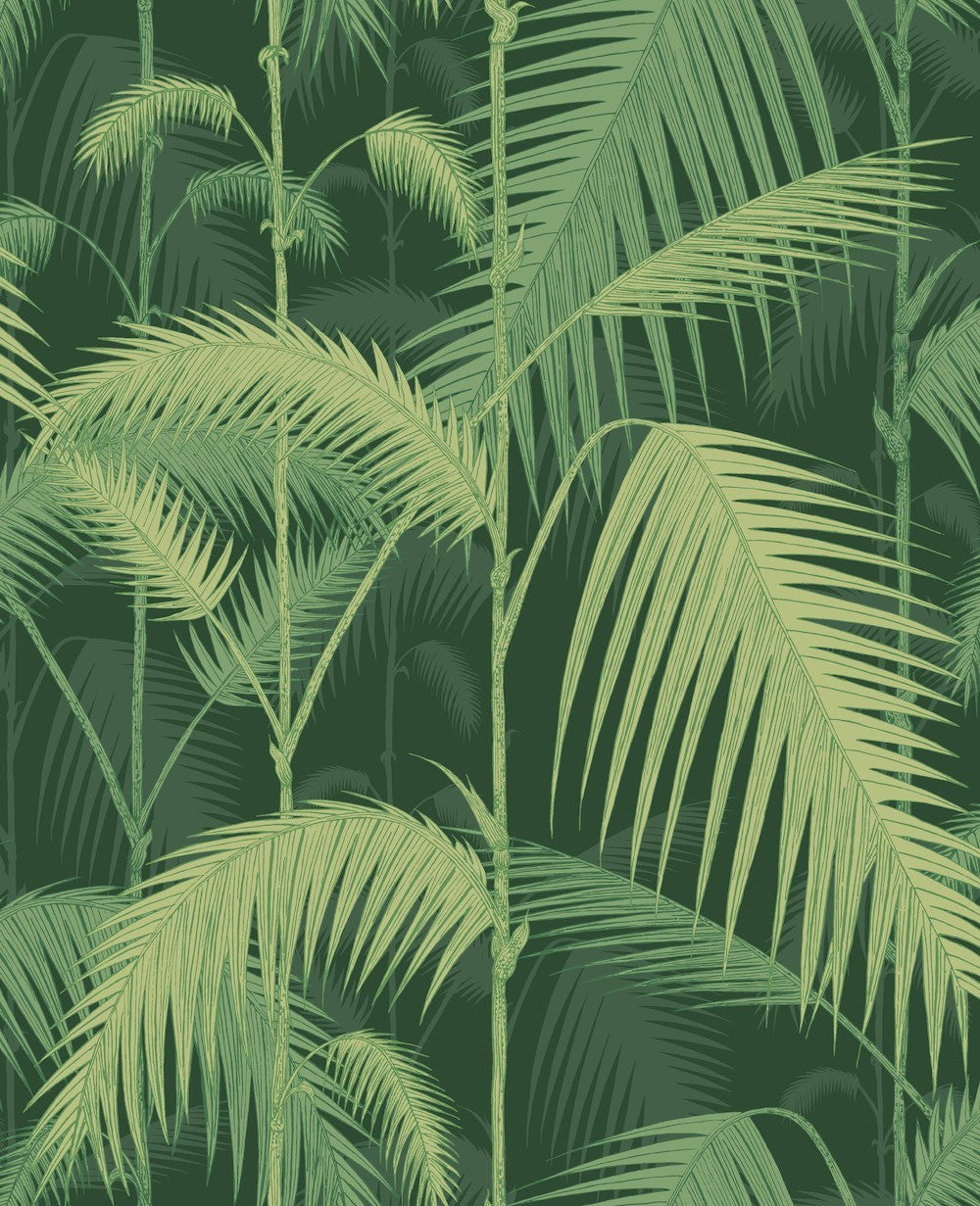 Cole & Son Palm Jungle Wallpaper