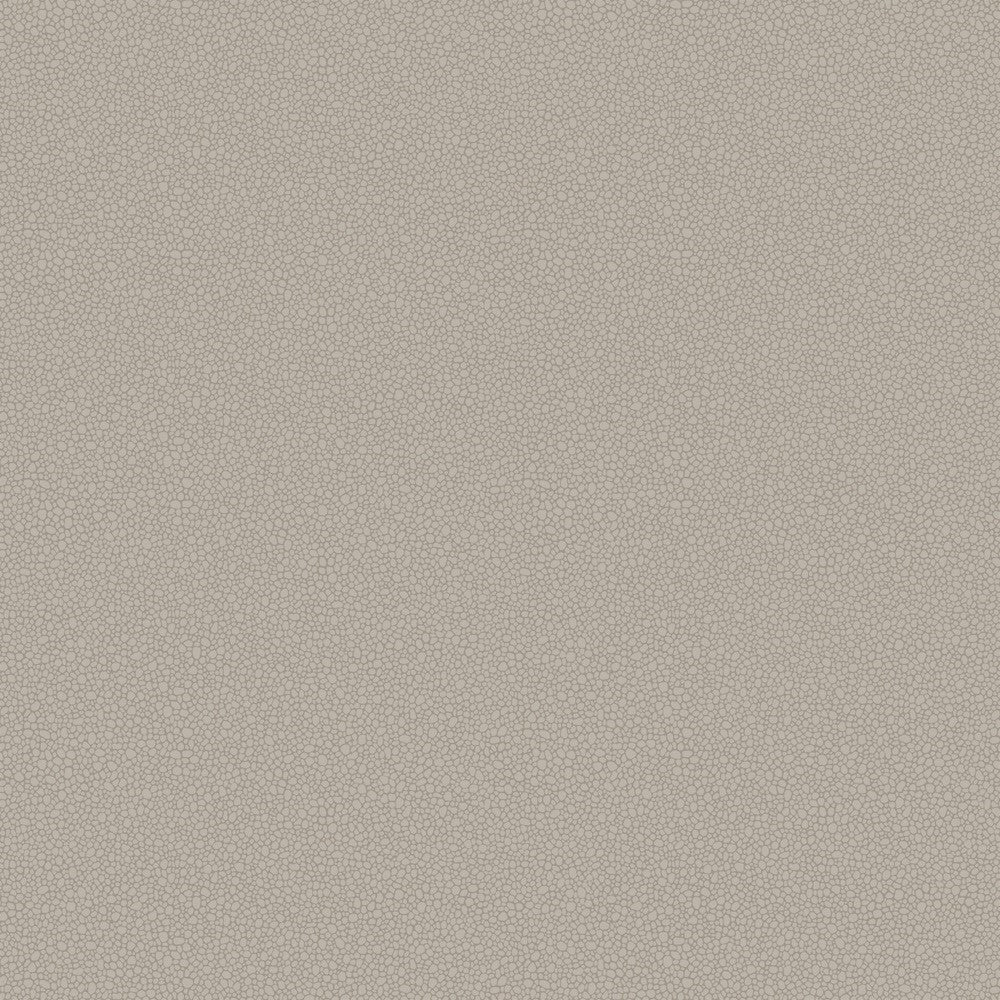 Cole & Son Pebble Wallpaper