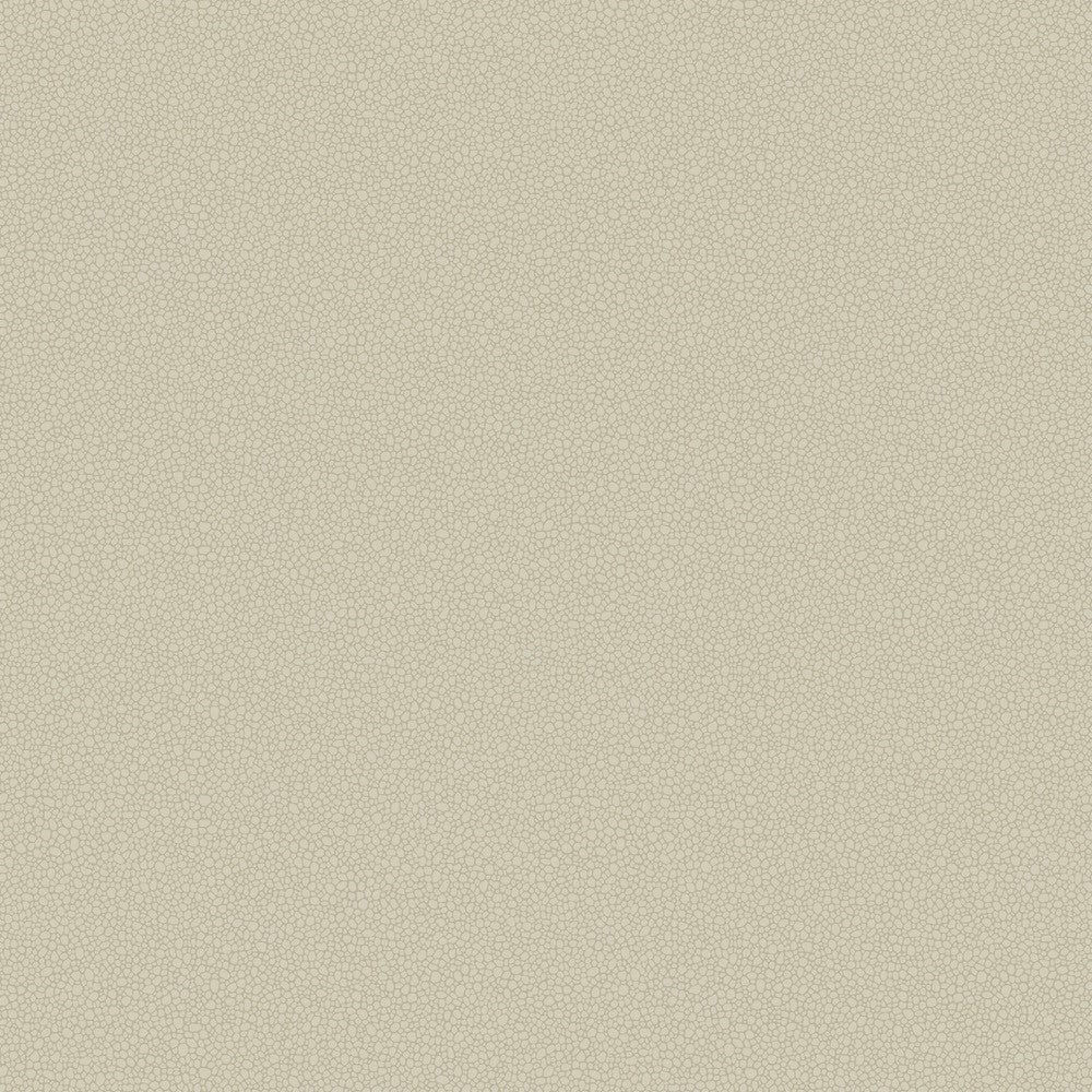 Cole & Son Pebble Wallpaper