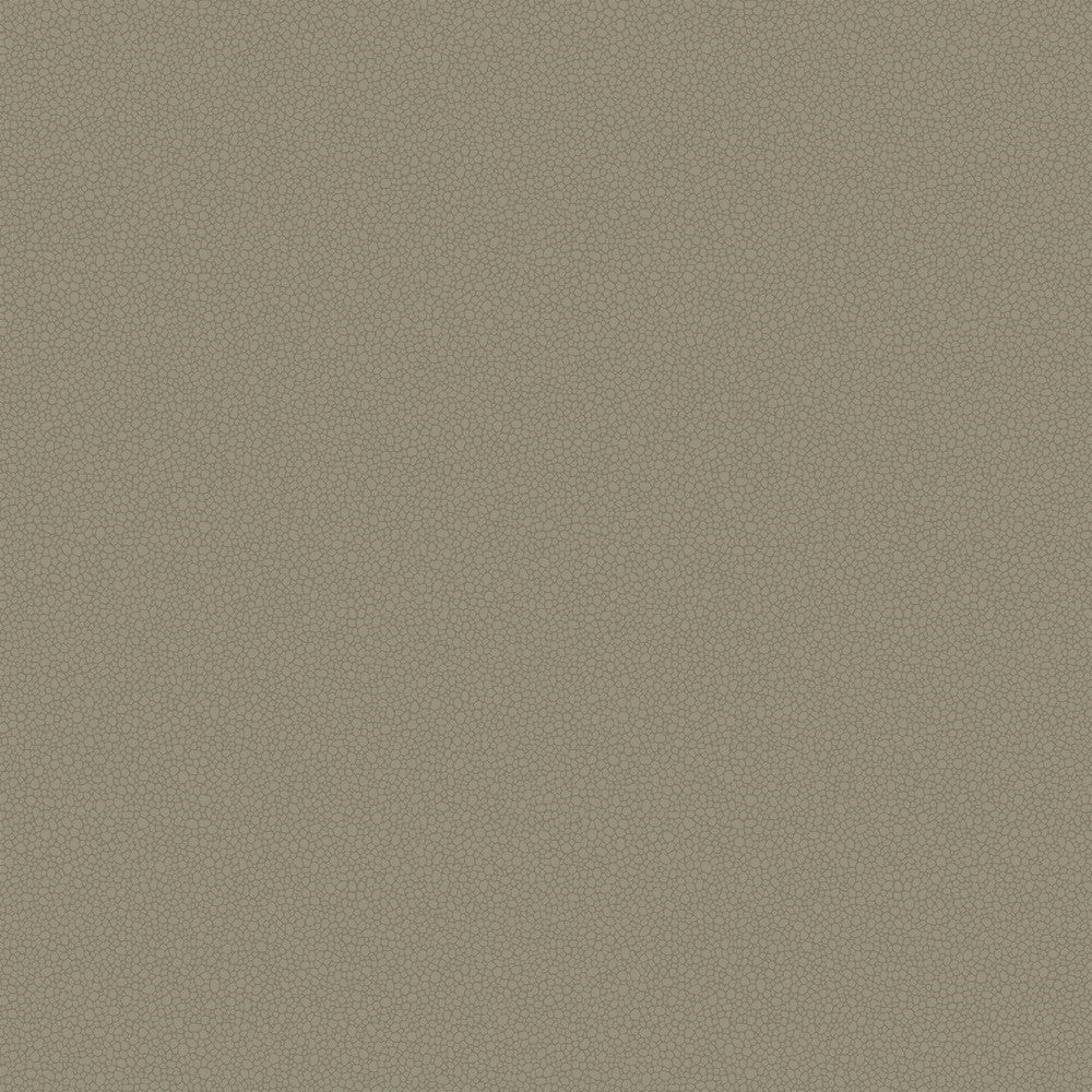 Cole & Son Pebble Wallpaper