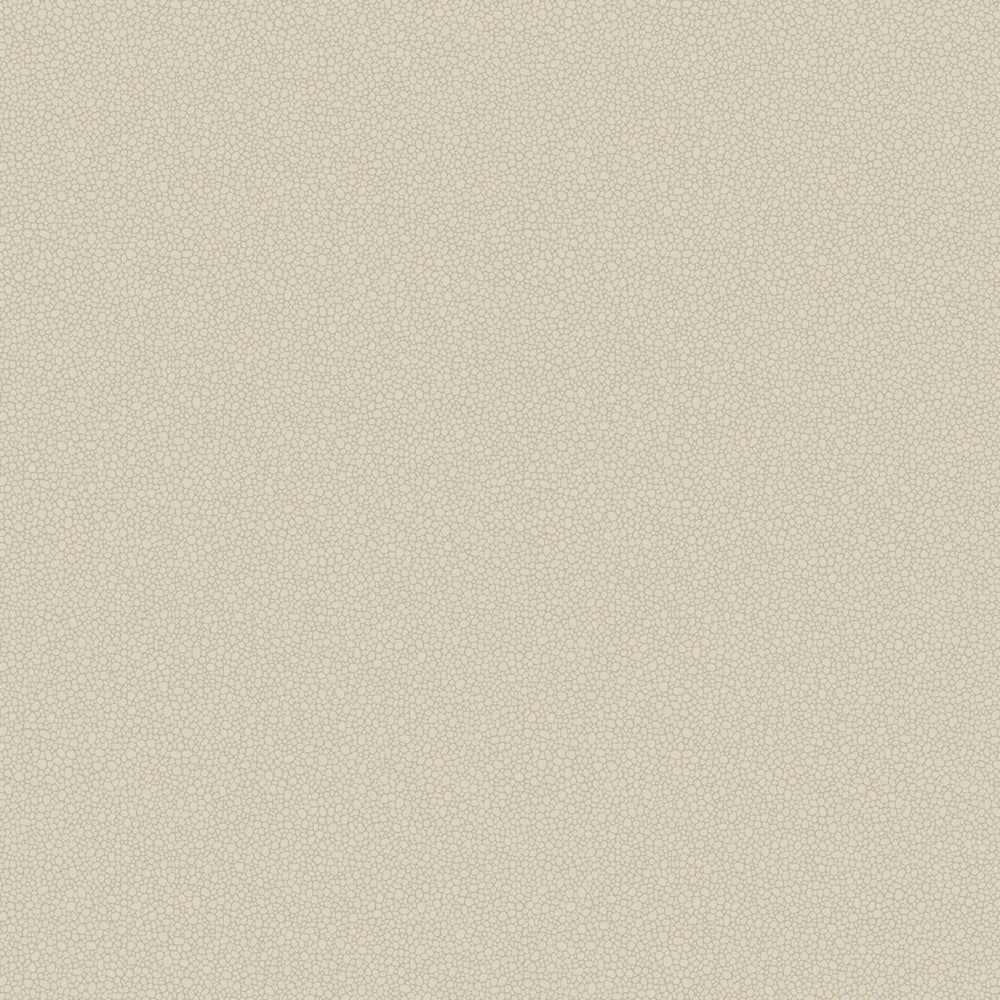 Cole & Son Pebble Wallpaper
