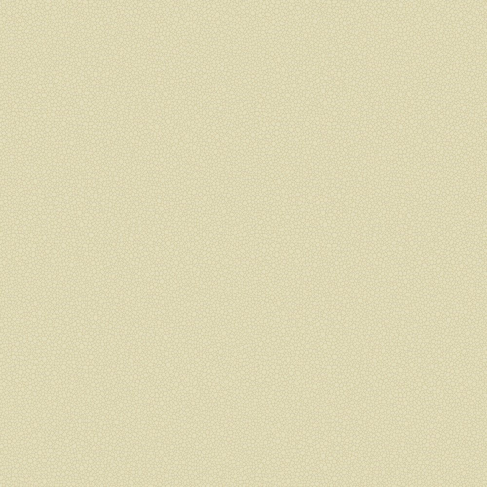 Cole & Son Pebble Wallpaper