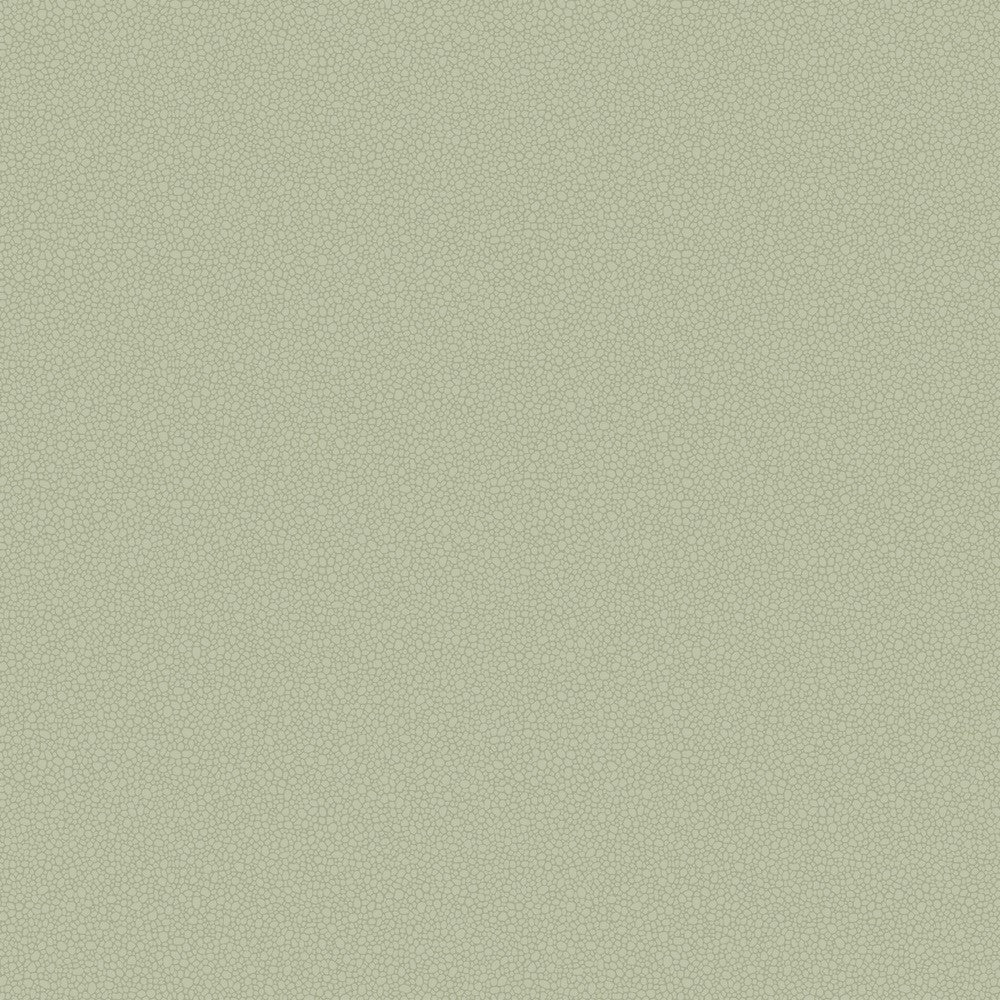 Cole & Son Pebble Wallpaper