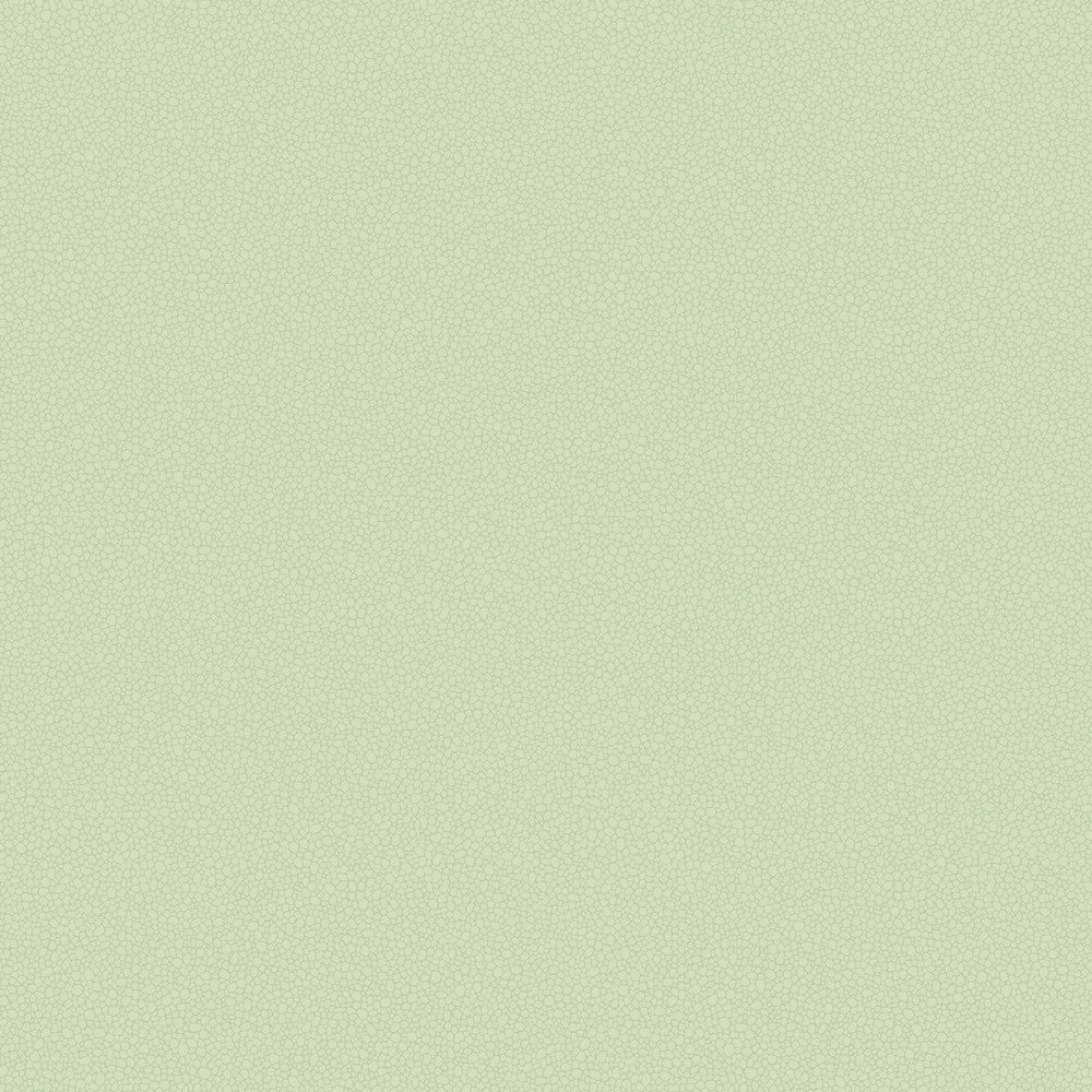 Cole & Son Pebble Wallpaper