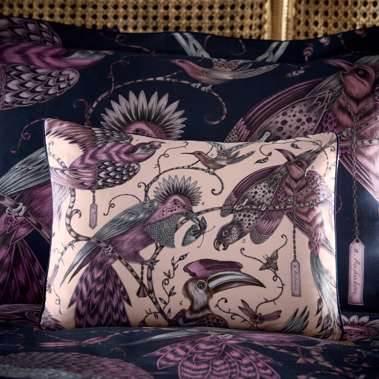 Audubon Boudoir Pillowcase Pink